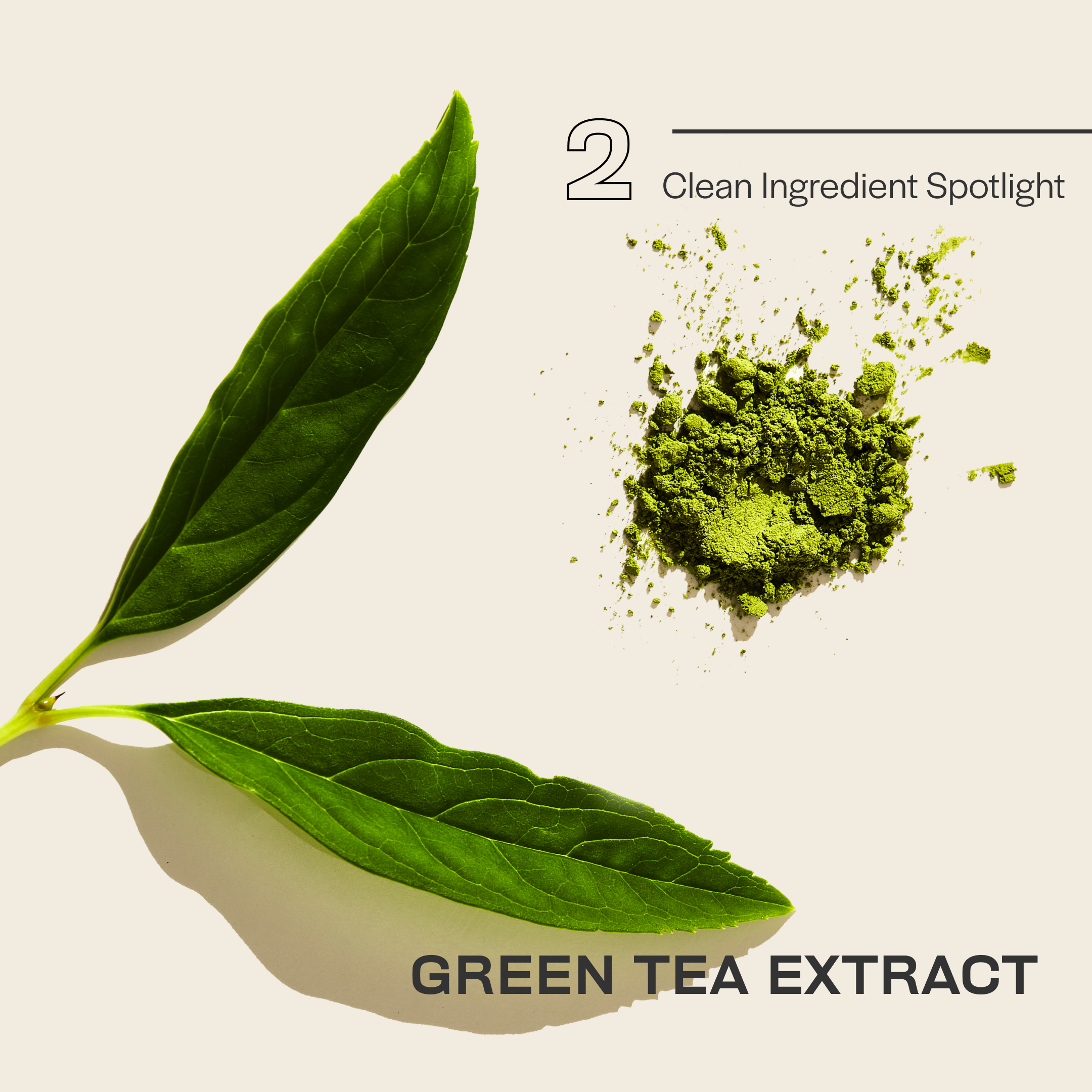 GTE.Ingredient Education.png