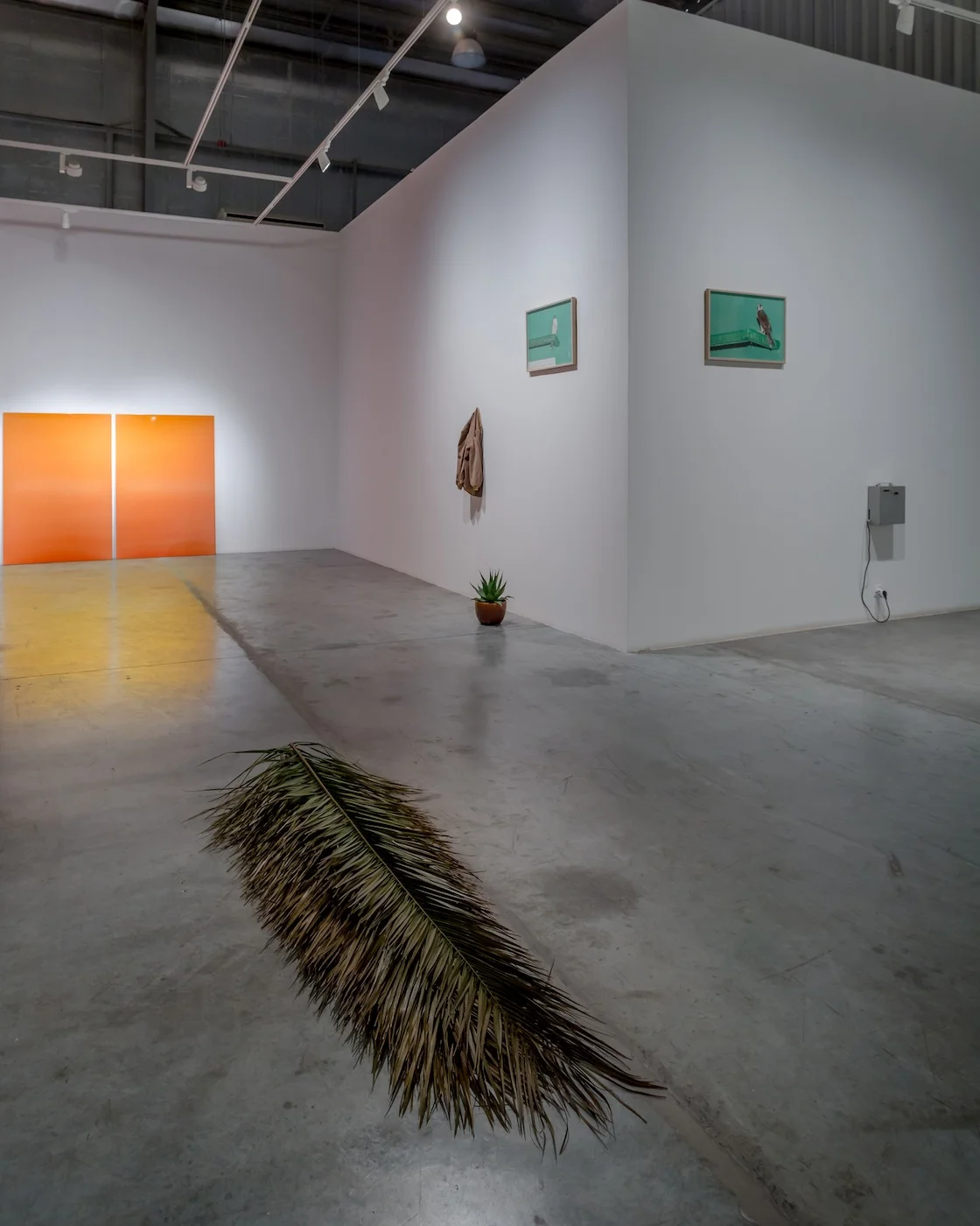 Installation view / SOLAR FLARE, ALWAYS RED