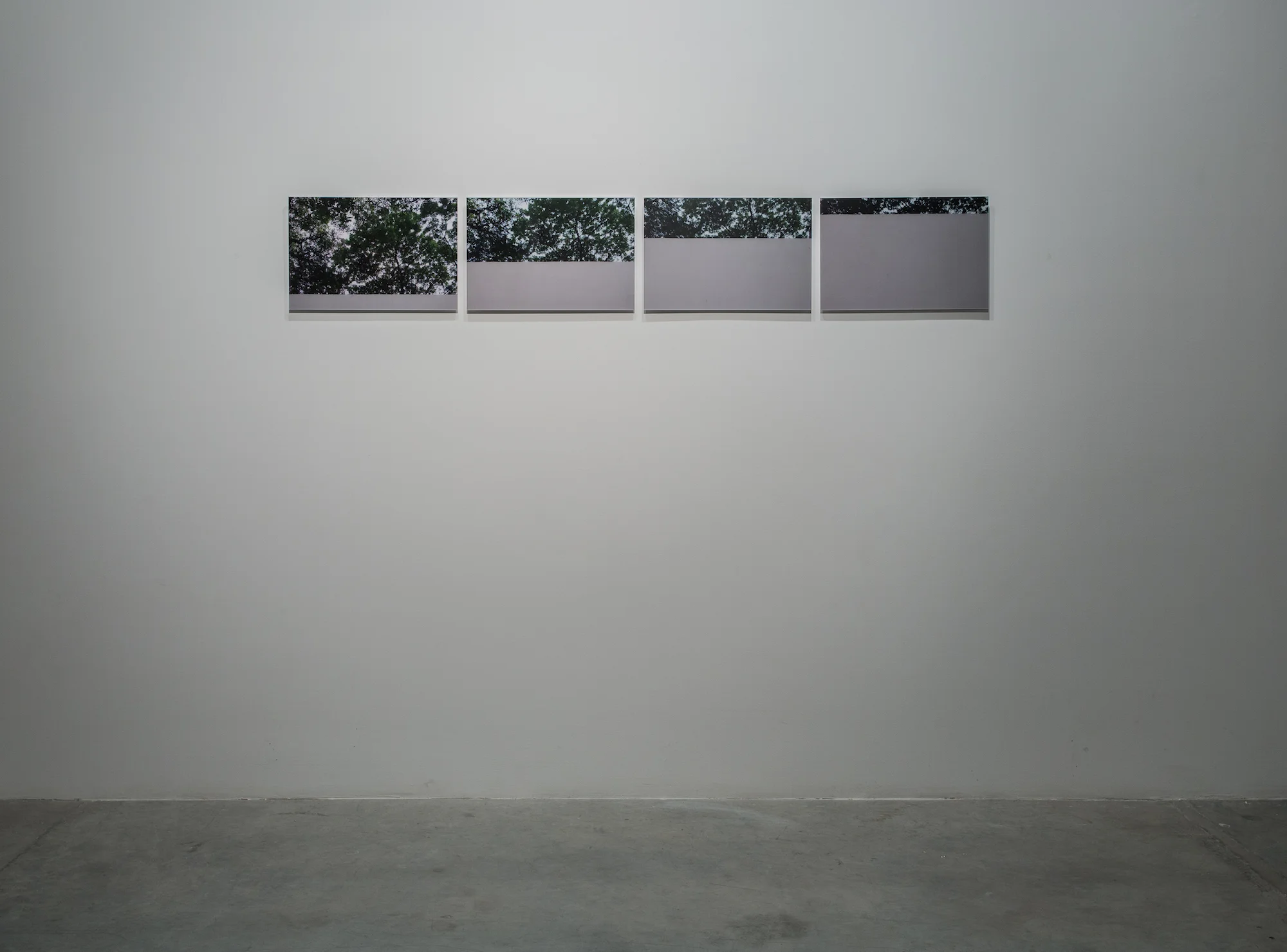 Interruptions 2 (set of 4) 2014 C-type prints, diasec. 30.48 x 45.72 cm each Edition 5 + 2AP