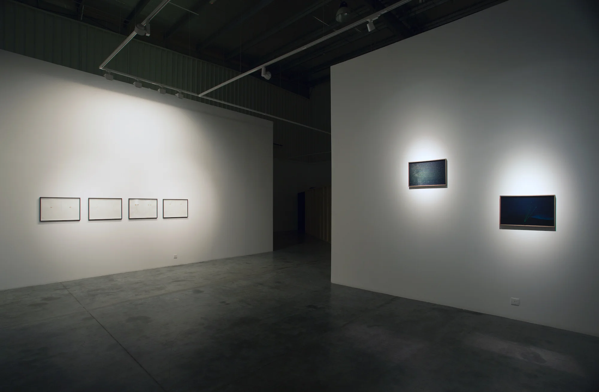 Installation view / Lupus