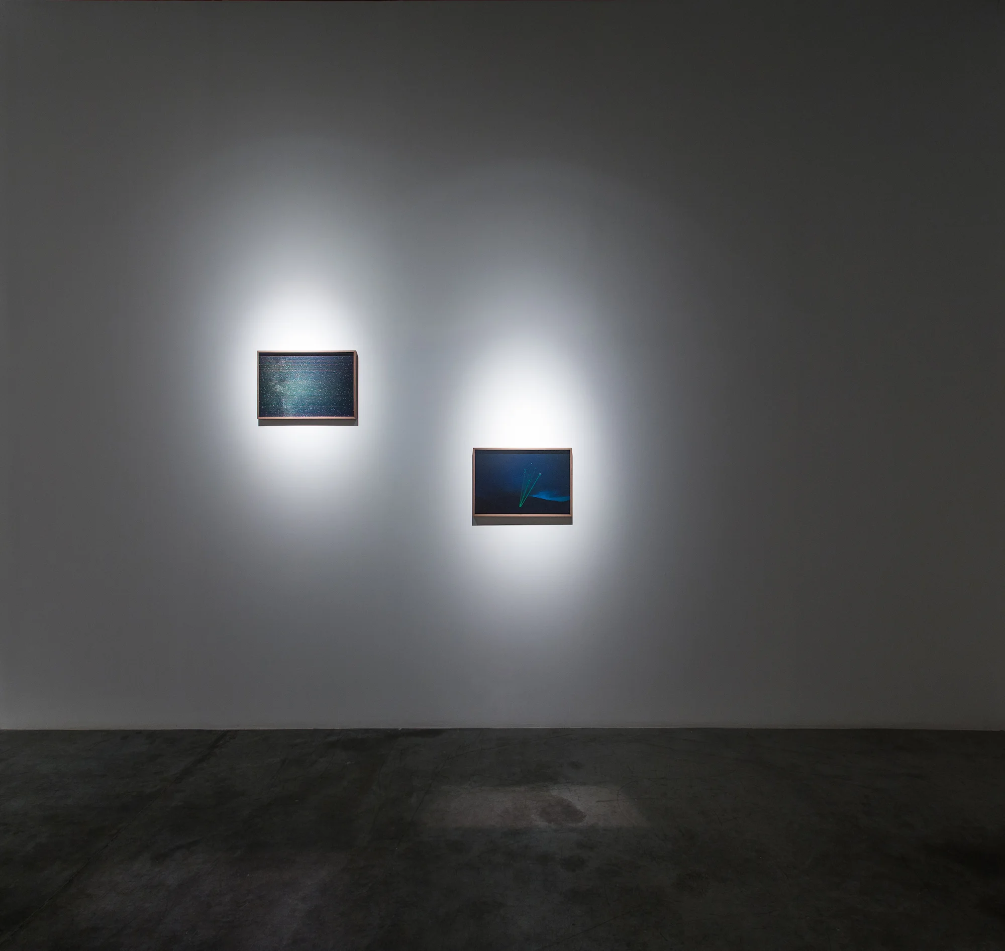 Installation view / Lupus