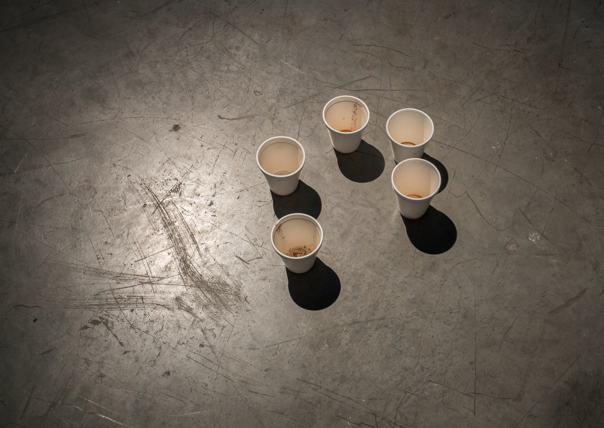  A number of styrofoam cups 2014 Variable dimensions 