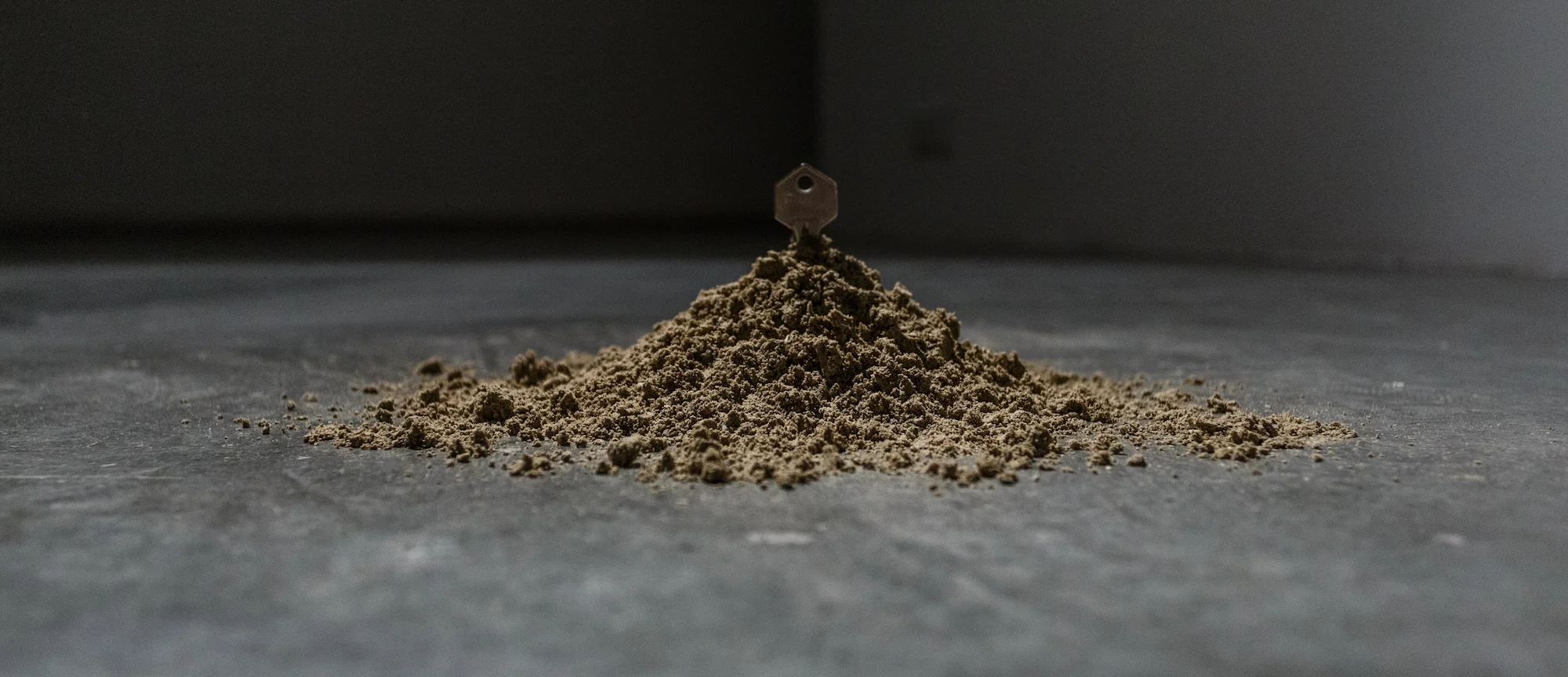Artificial Nostalgia 2016 Key, sand from Dubai Diameter: 25 cm, height: 10 cm The key of the artist’s house as a child is stuck in a small pile of sand from Dubai.