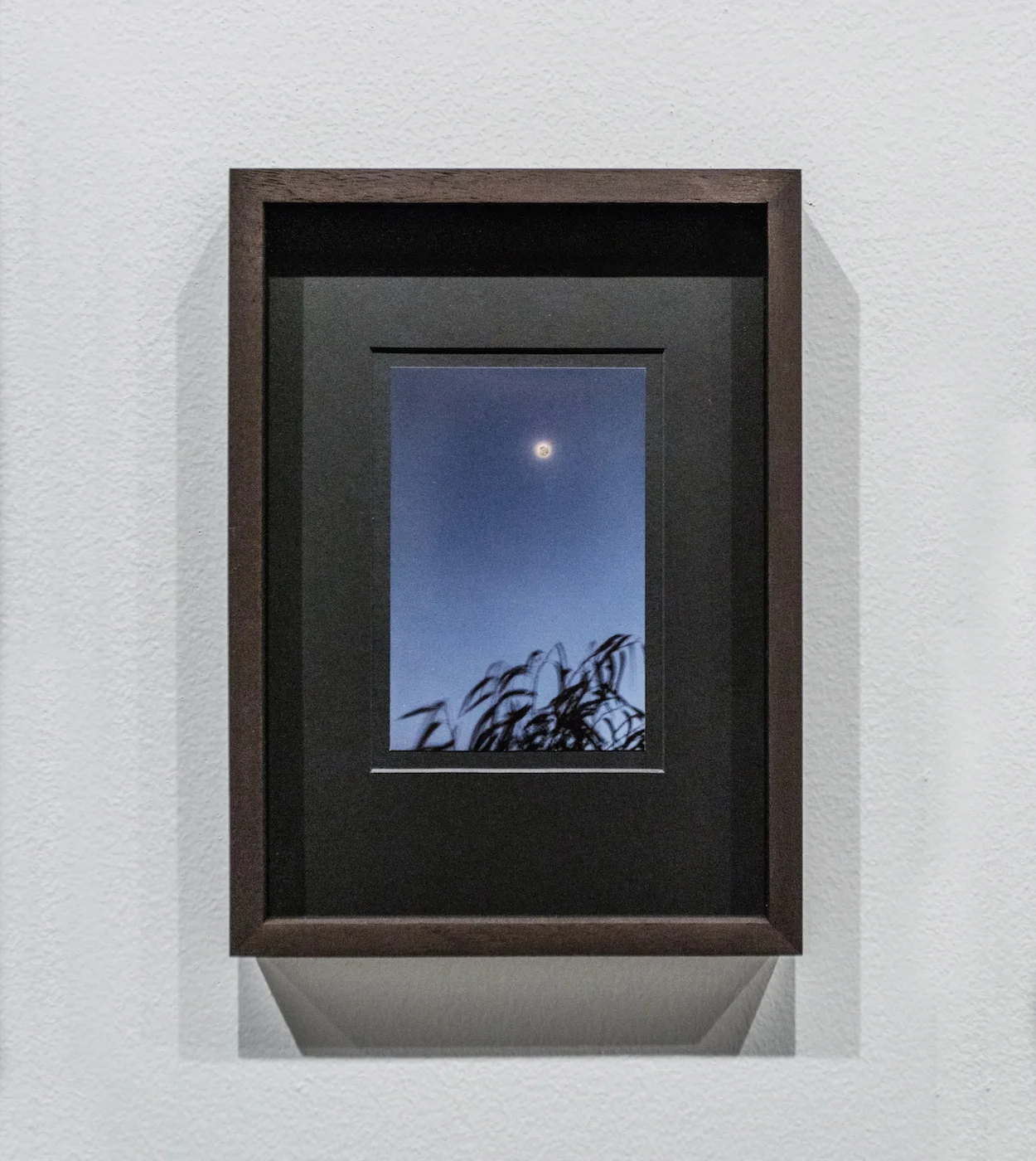Moongold (3) 2016 Photograph Moon Gold leaf 15 x 10 cm On random photographs taken by the artist, the moon, appearing very small, is gilded with Moon Gold leaf.