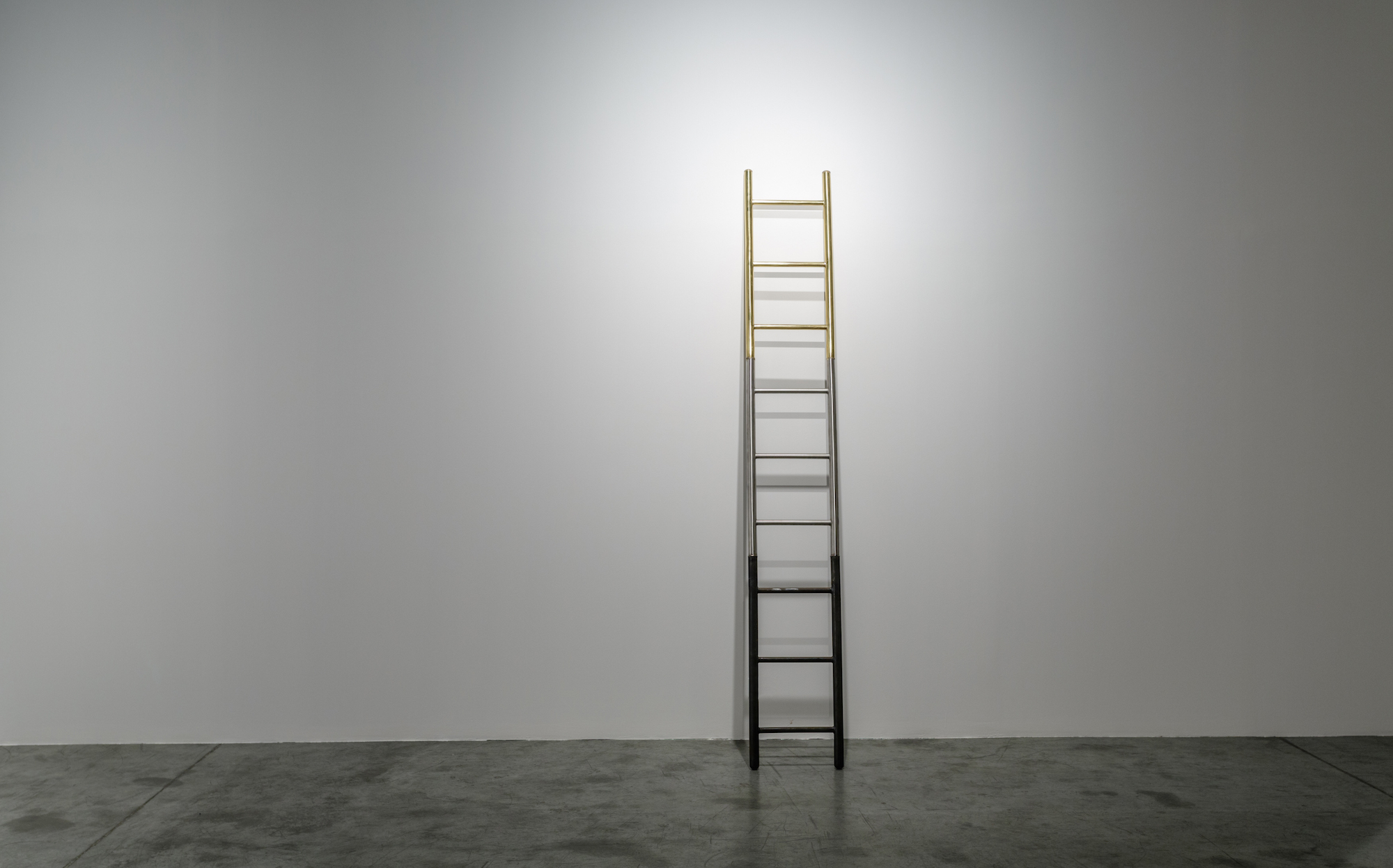  Graceful Degradation 2013 Welded iron, stainless steel and brass 270 x 40 x 4 cm   A ladder is made of three different metals, incarnating the idea of ascension. 