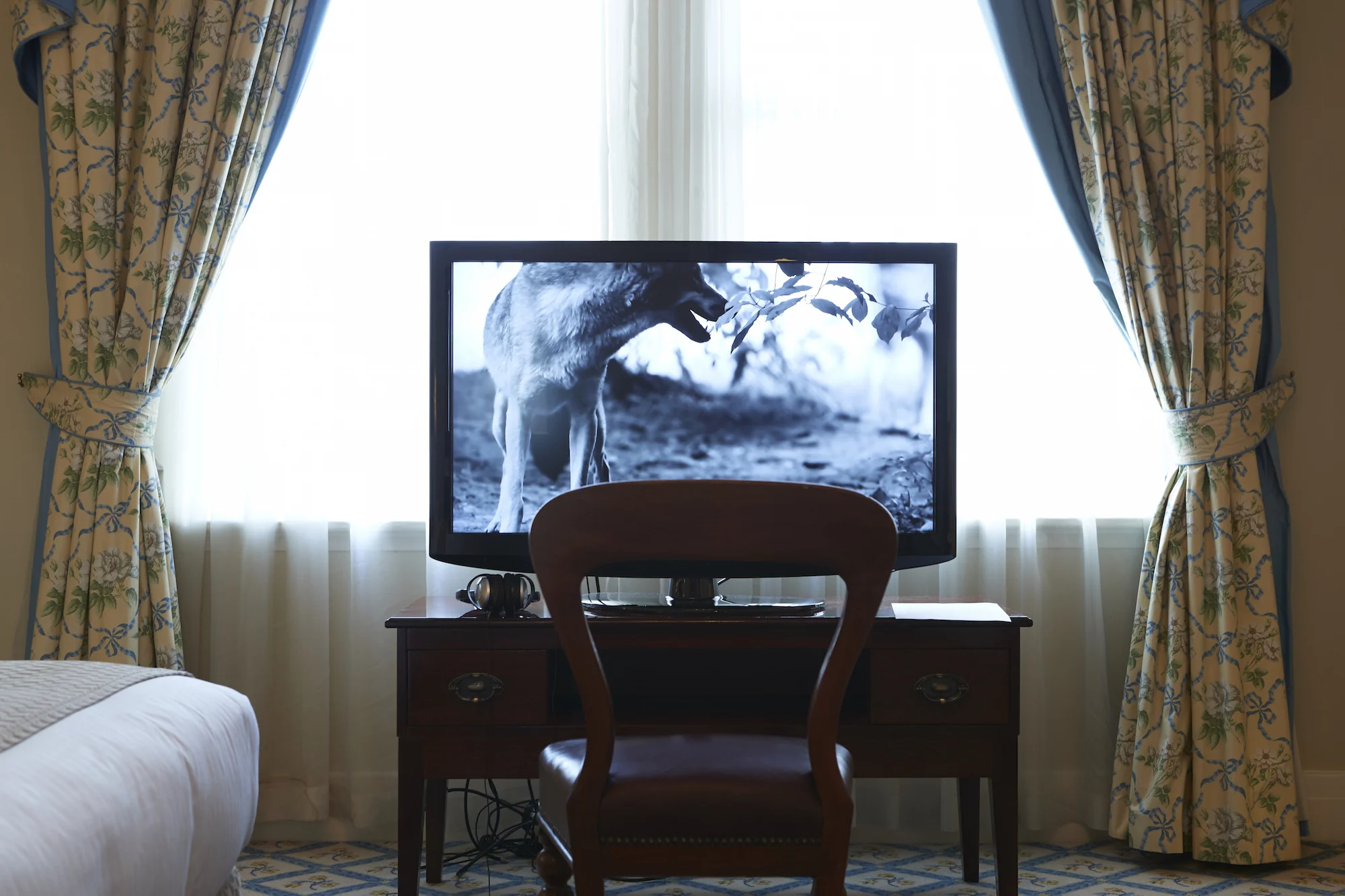Installation view / Image courtesy Ross Lowe