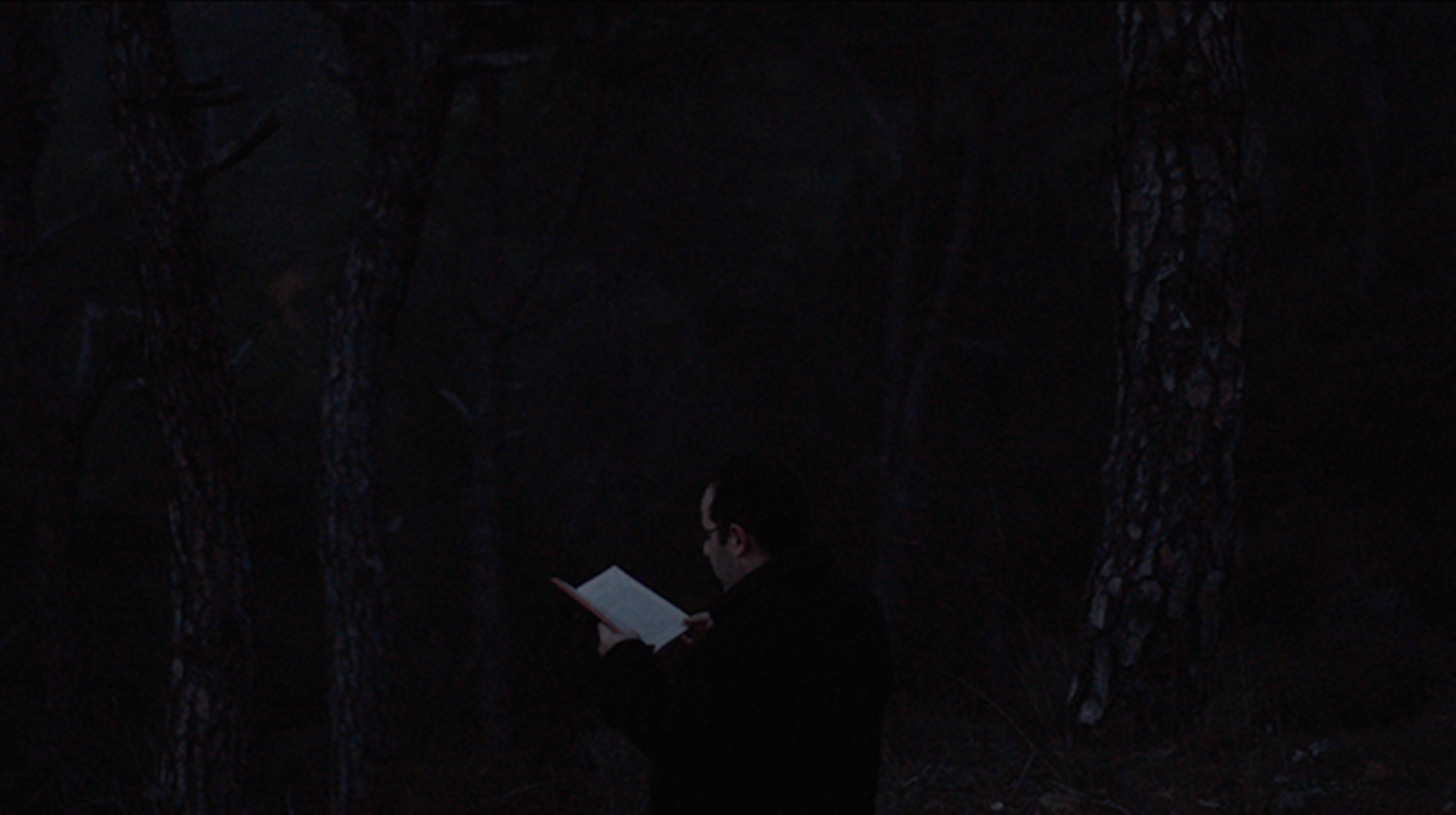  No Light In White Light 2014 Video 00:11:00   A Syriac priest starts reading the genesis in Aramaic, a dead language, a few minutes before day fall in a forest in Mount Lebanon. With the light getting dimmer, the reading becomes more and more diffic