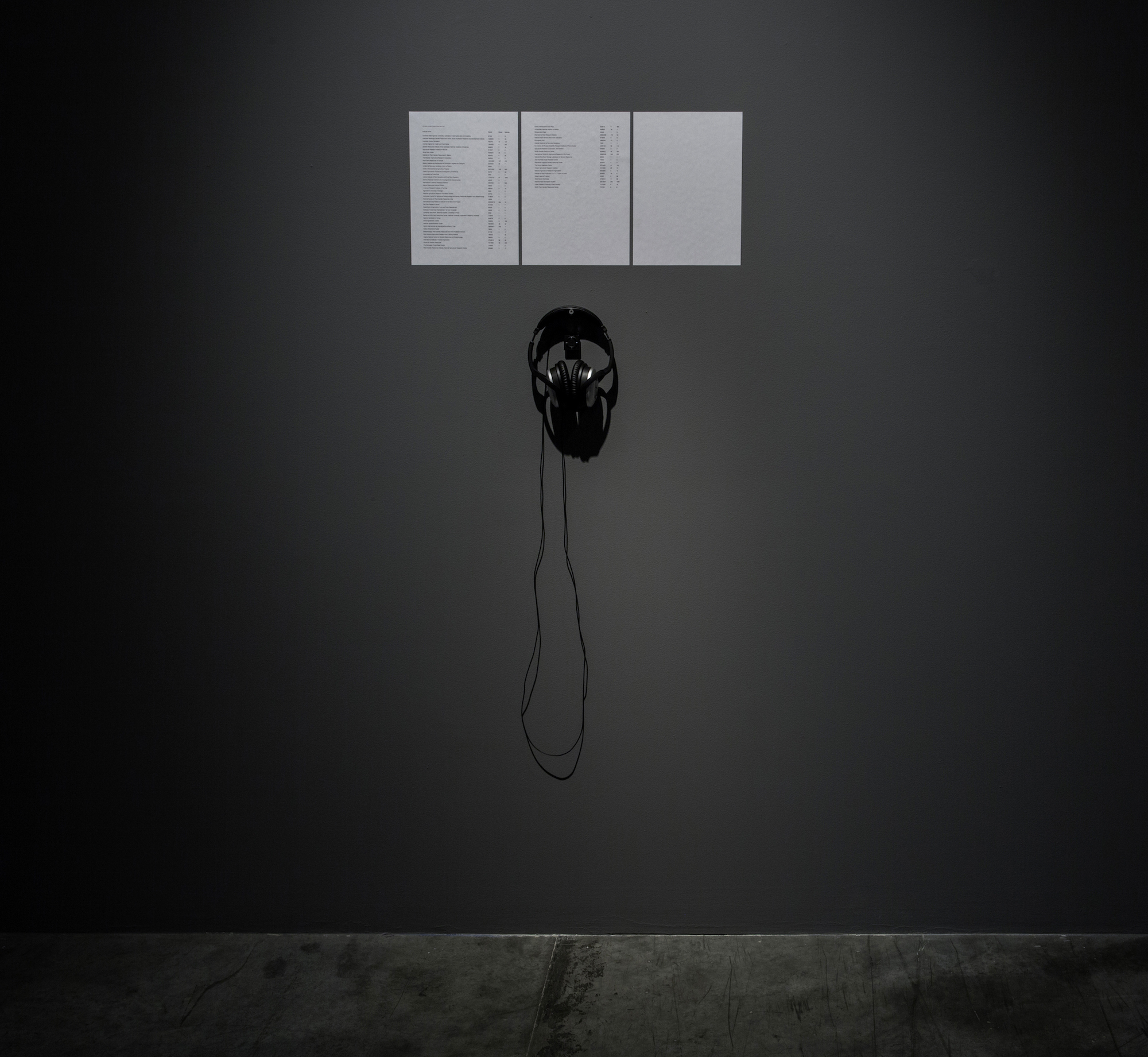  Michael John Whelan   Chamber 2016 Single channel sound (00:21:36), noise canceling headphones, digital audio player, 3 paper sheets (21 x 29.7 cm each) Edition of 3 + 2 AP 