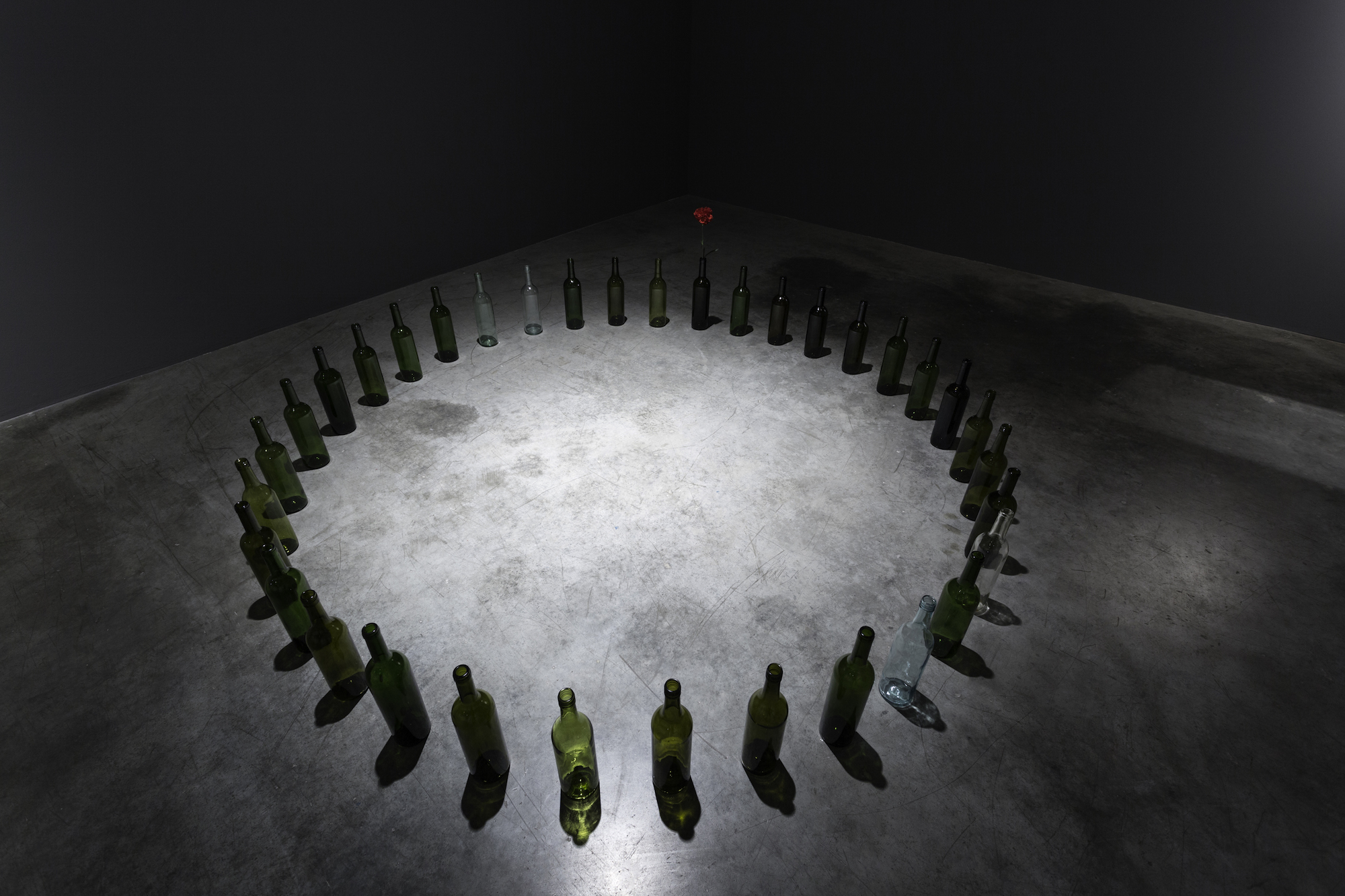  Marco Godinho  Every Day a Revolution  2012 Wine bottles, red carnation flowers Dimensions variable 