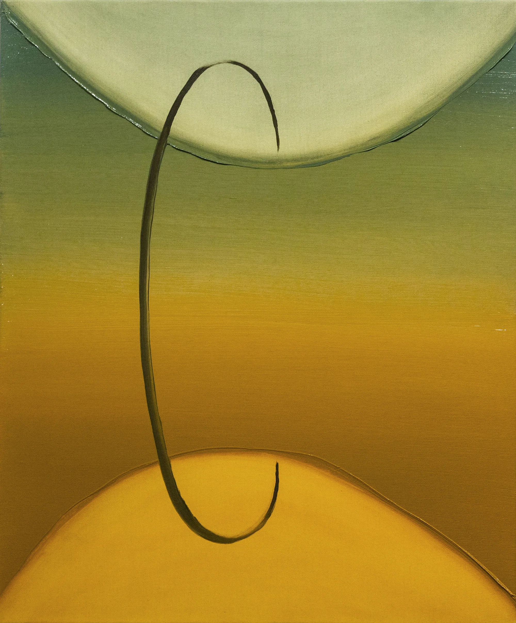 Compress 2015 Oil on canvas 60 x 50 cm