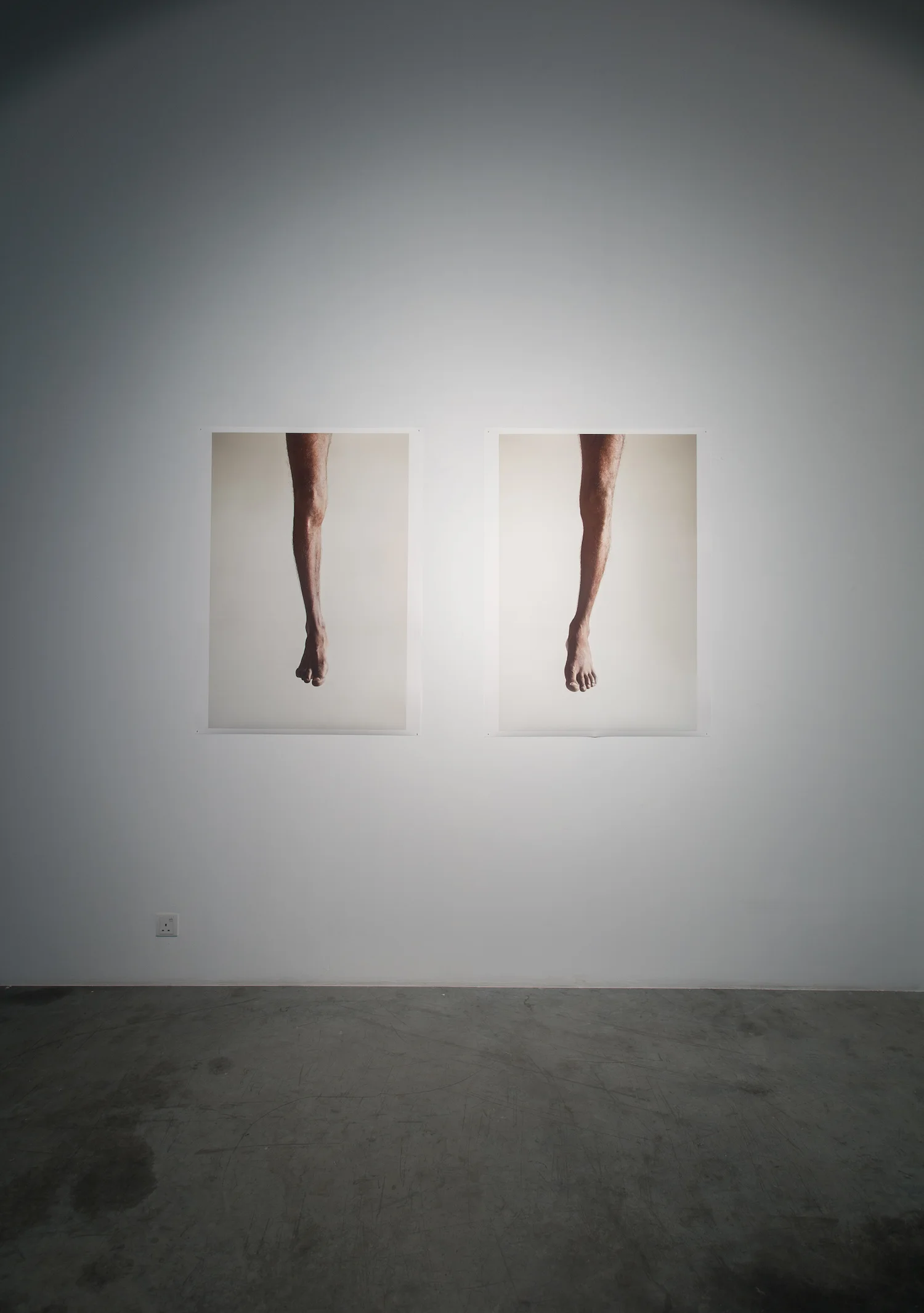 One who gardens in the garden (Diptych) 2013 Inkjet print on Photo Rag 120 x 80 cm 3 + 2AP