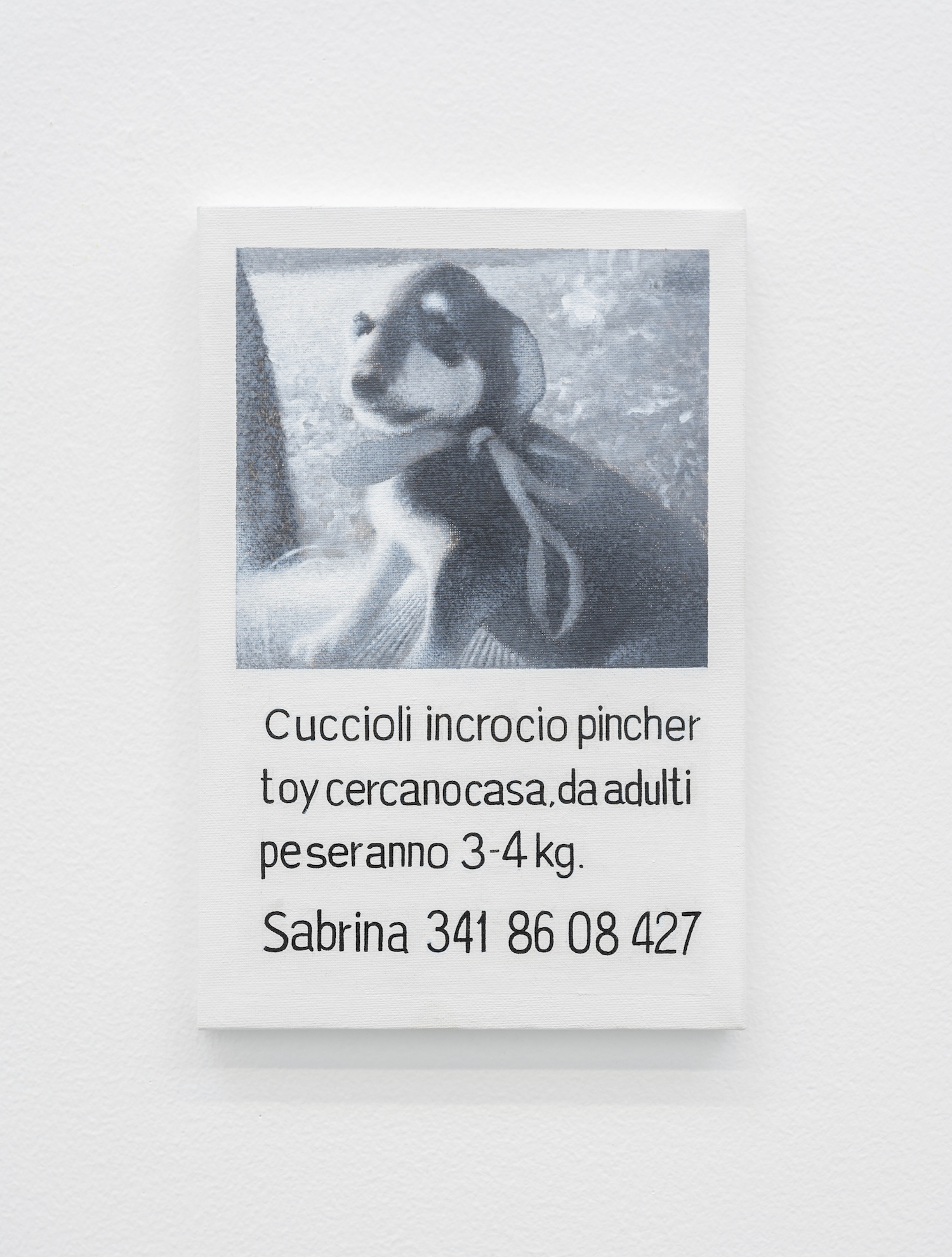  CUCCIOLO 2018 Oil on canvas Painting of a poster found in Venice Advertising puppies for adoption 30 x 20.2 cm 