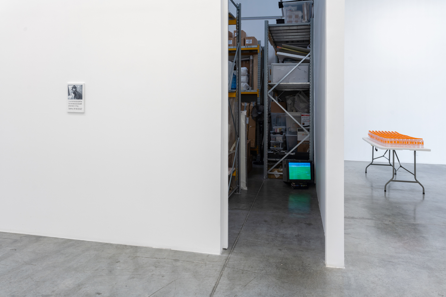 Installation view