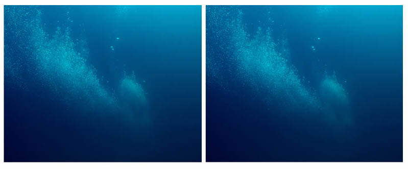  Michael John Whelan These last breaths (diptych) 2018 Chromogenic prints, frames treated with Persian Gulf seawater. 30x40 cm Edition of 5 + 2AP 