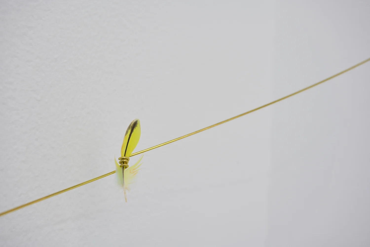 Our land was a forest (detail) 2018 Feather and gold 75 x 41 x 50.5 cm