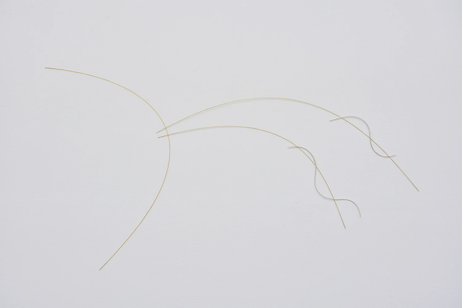 Solar winds IV 2018 Brass, silver 67 x 131 x 1 cm