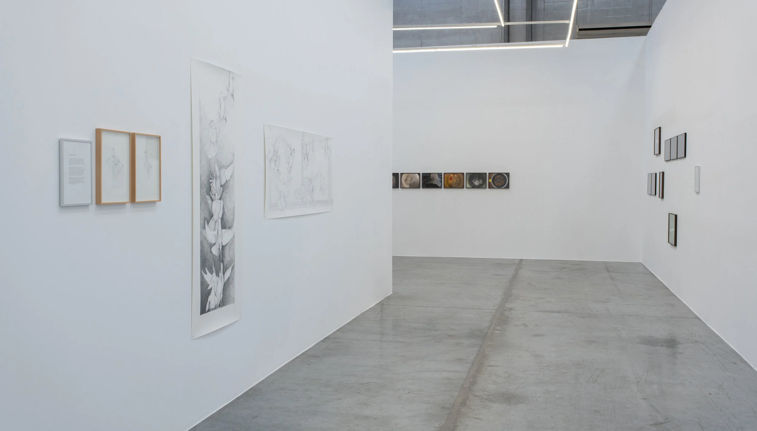 Installation view / Inhabitate