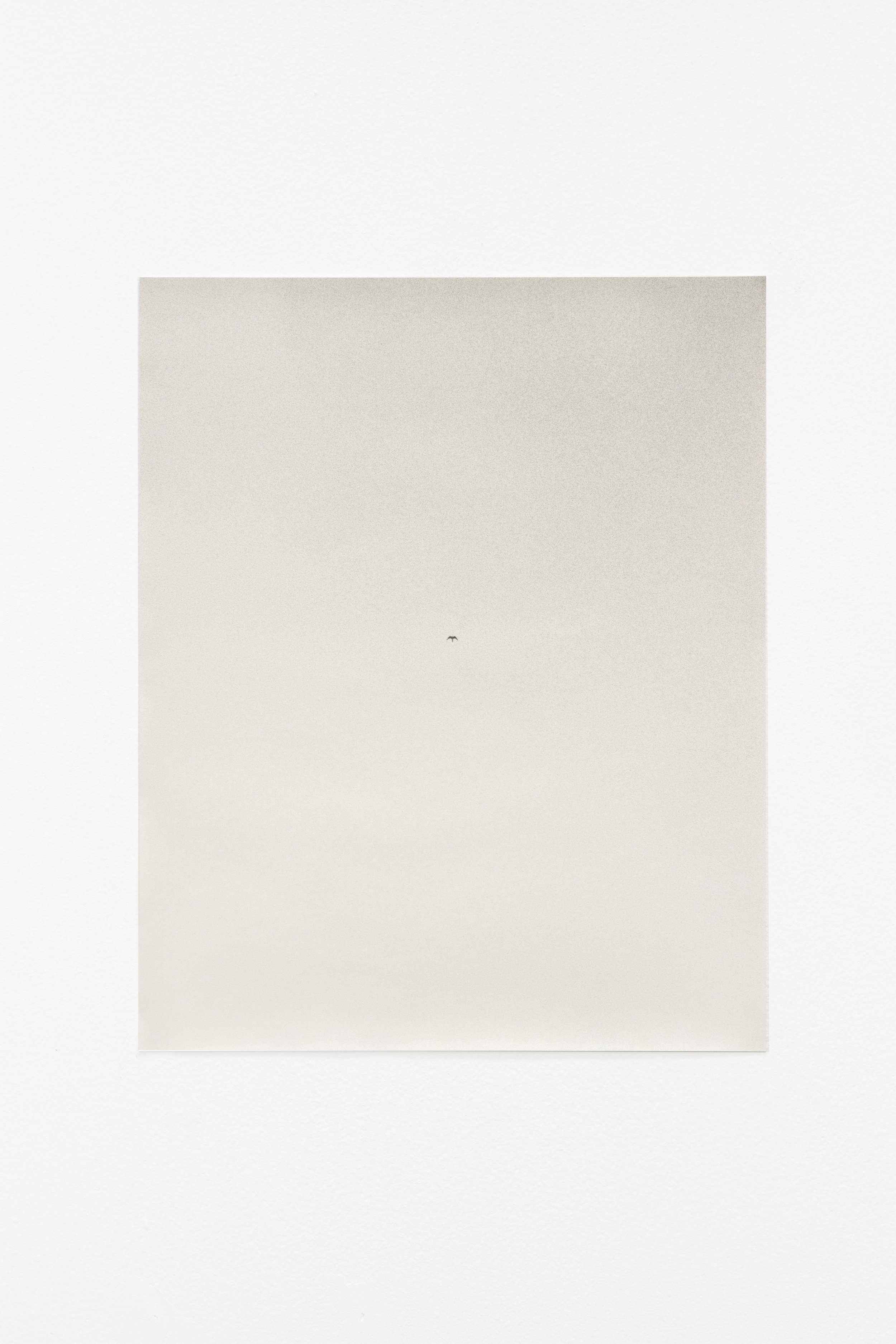  F.e., 2022, silver gelatin print, 47 x 38.5 cm, edition 1/5 