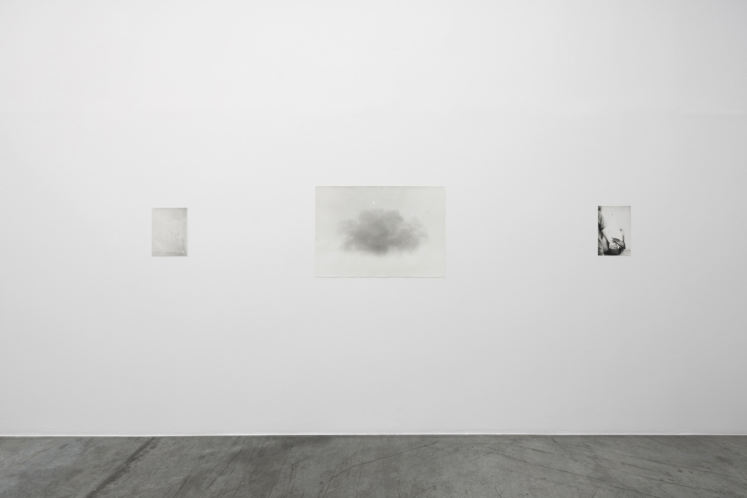  Installation view / Natural Sources R-L  Fruit Dove, 2022, silver gelatin print, 37 x 24.5 cm, edition 2/5 / Cloud and Moon, 2020, silver gelatin print, 67.5 x 96.5 cm, edition 1/5 / Eisscheibe, 2022, silver gelatin print, 36 x 26 cm, edition 2/5   