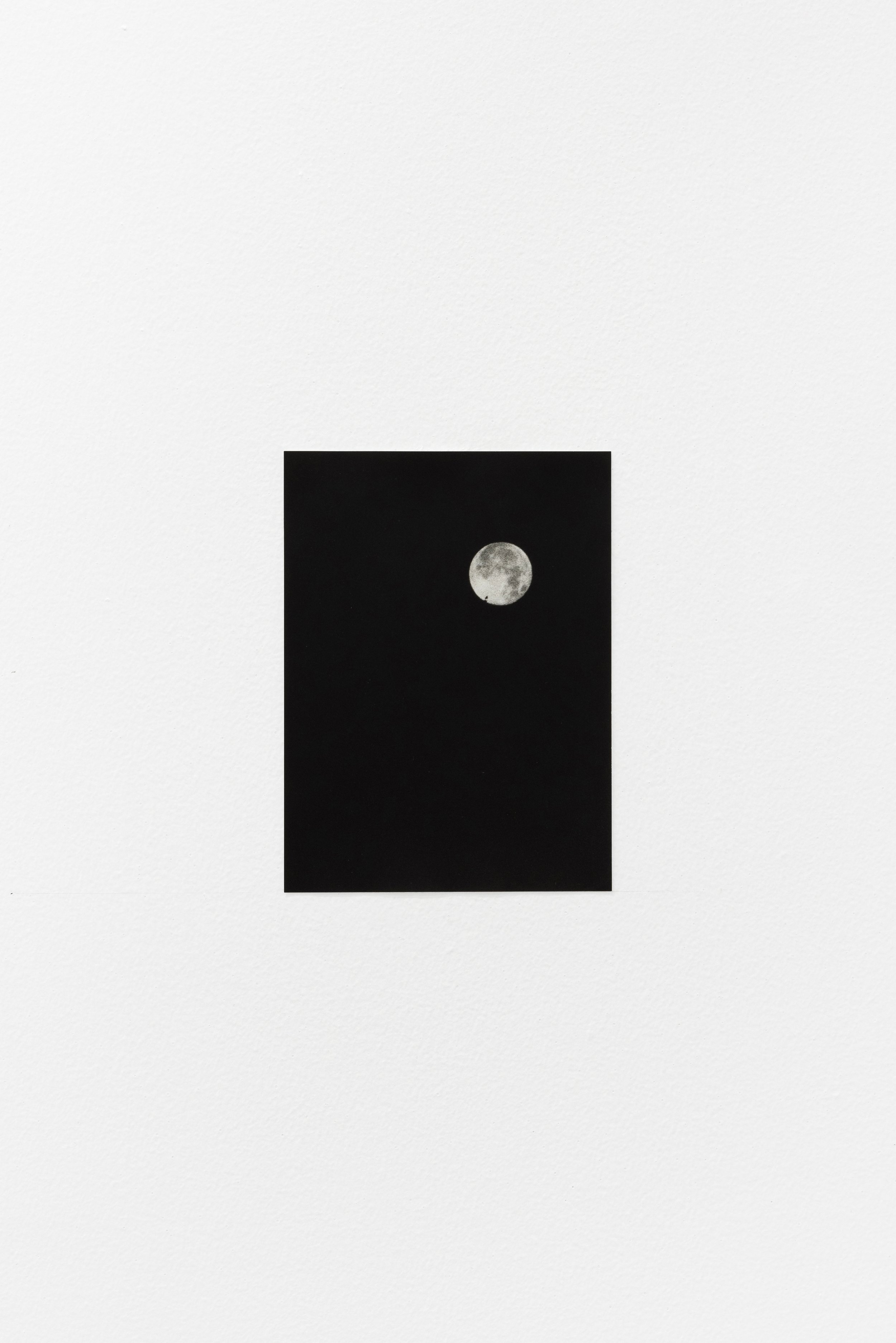  Moon and Leaf, 2022, silver gelatin print, 23.2 x 17.2 cm,&nbsp; edition 2/5 