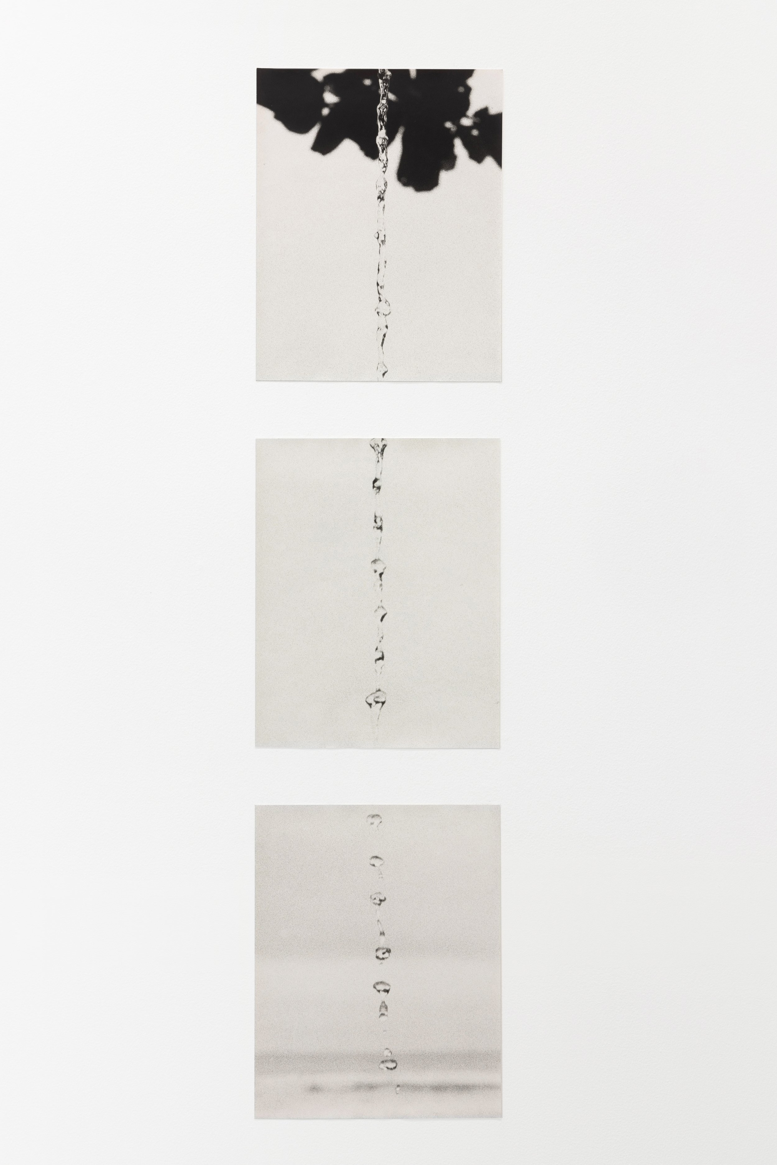  Drops II (three parts), 2018, silver gelatin print, 48.5 x 39 cm each, edition 1/5   