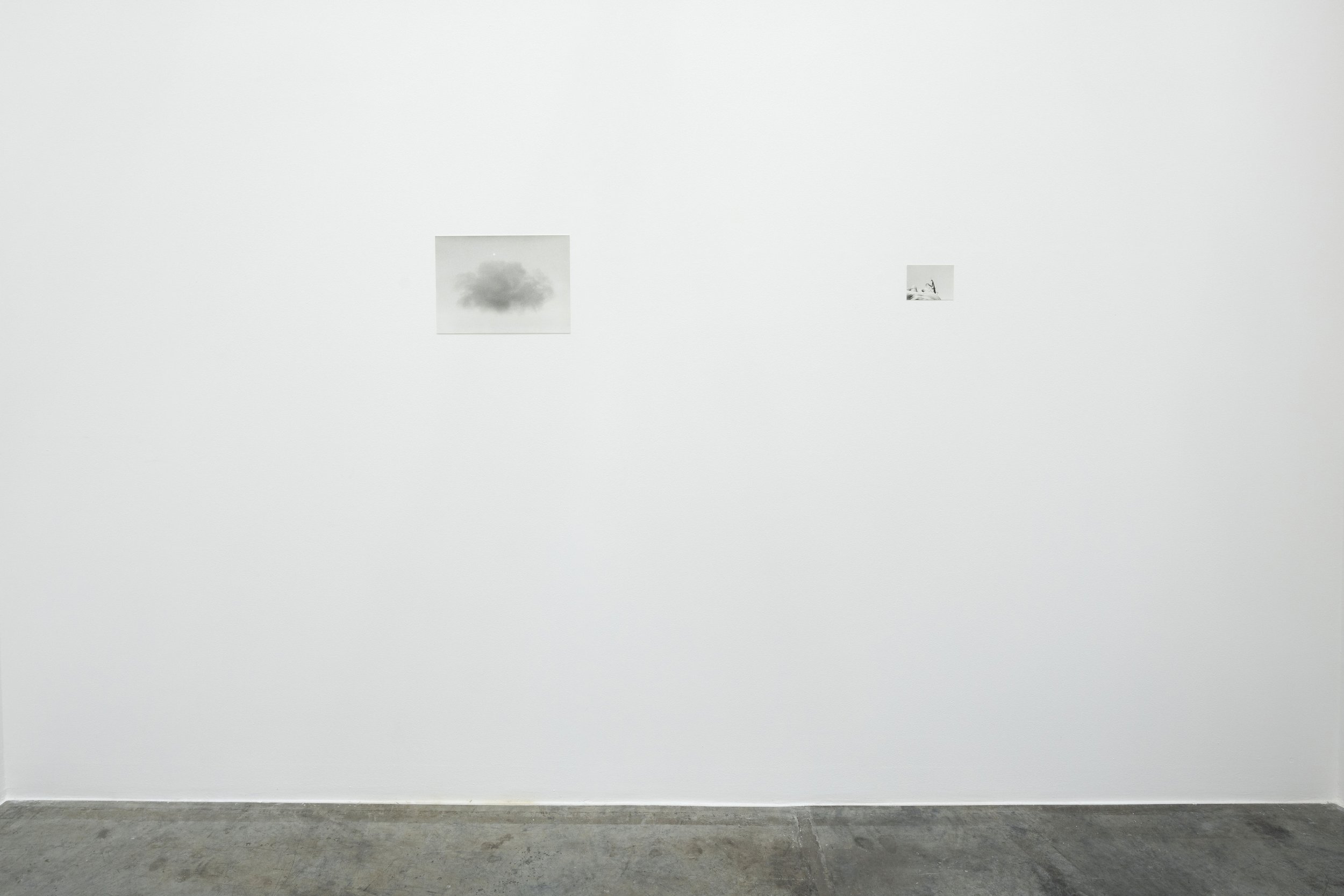  Installation view / Natural Sources L-R  Cloud and Moon, 2020, silver gelatin print, 27.5 x 38 cm, edition 4/5 / Praying Mantis, 2022, silver gelatin print, 10 x 13 cm, edition 1/5 