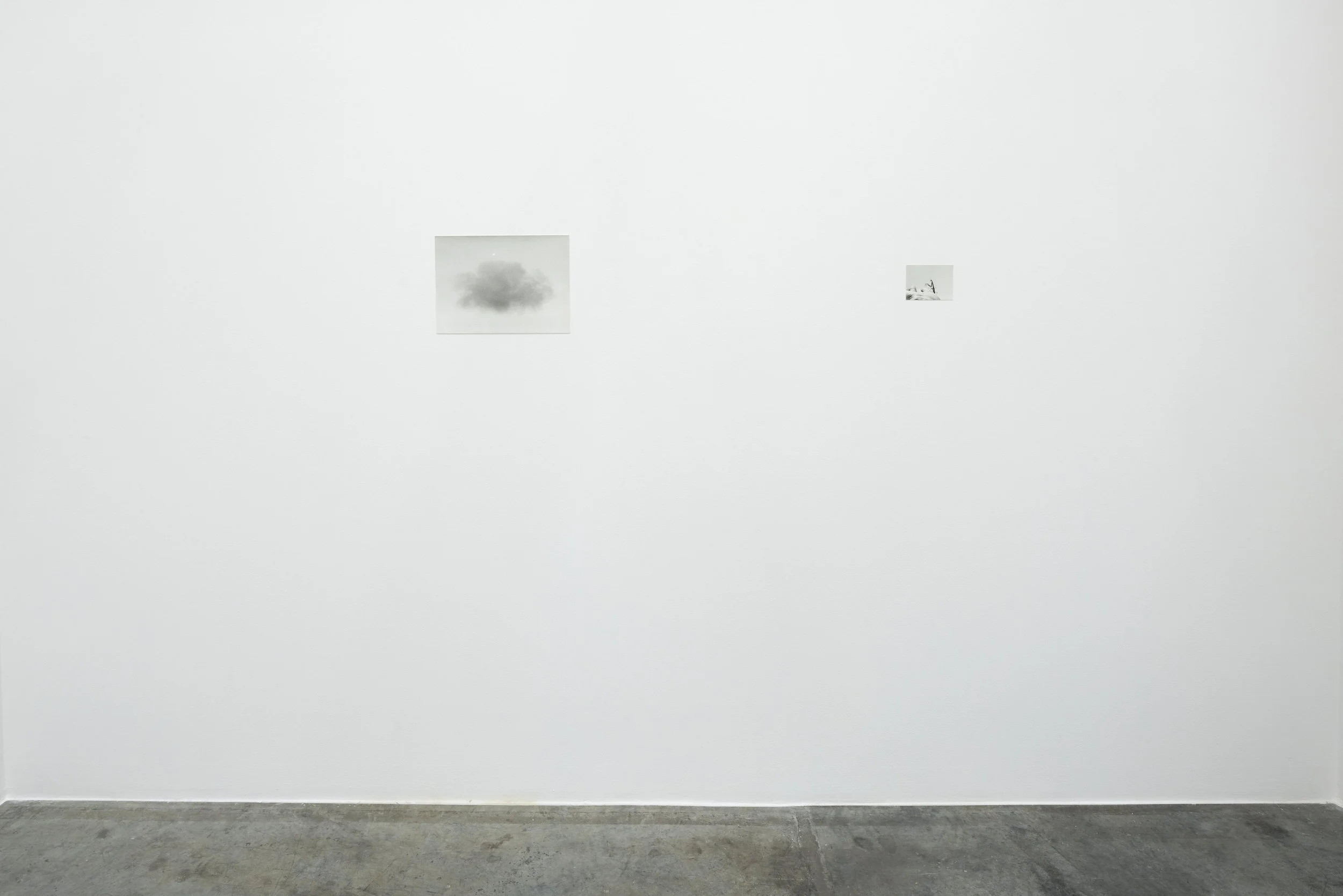 Installation view / Natural Sources L-R Cloud and Moon, 2020, silver gelatin print, 27.5 x 38 cm, edition 4/5 / Praying Mantis, 2022, silver gelatin print, 10 x 13 cm, edition 1/5