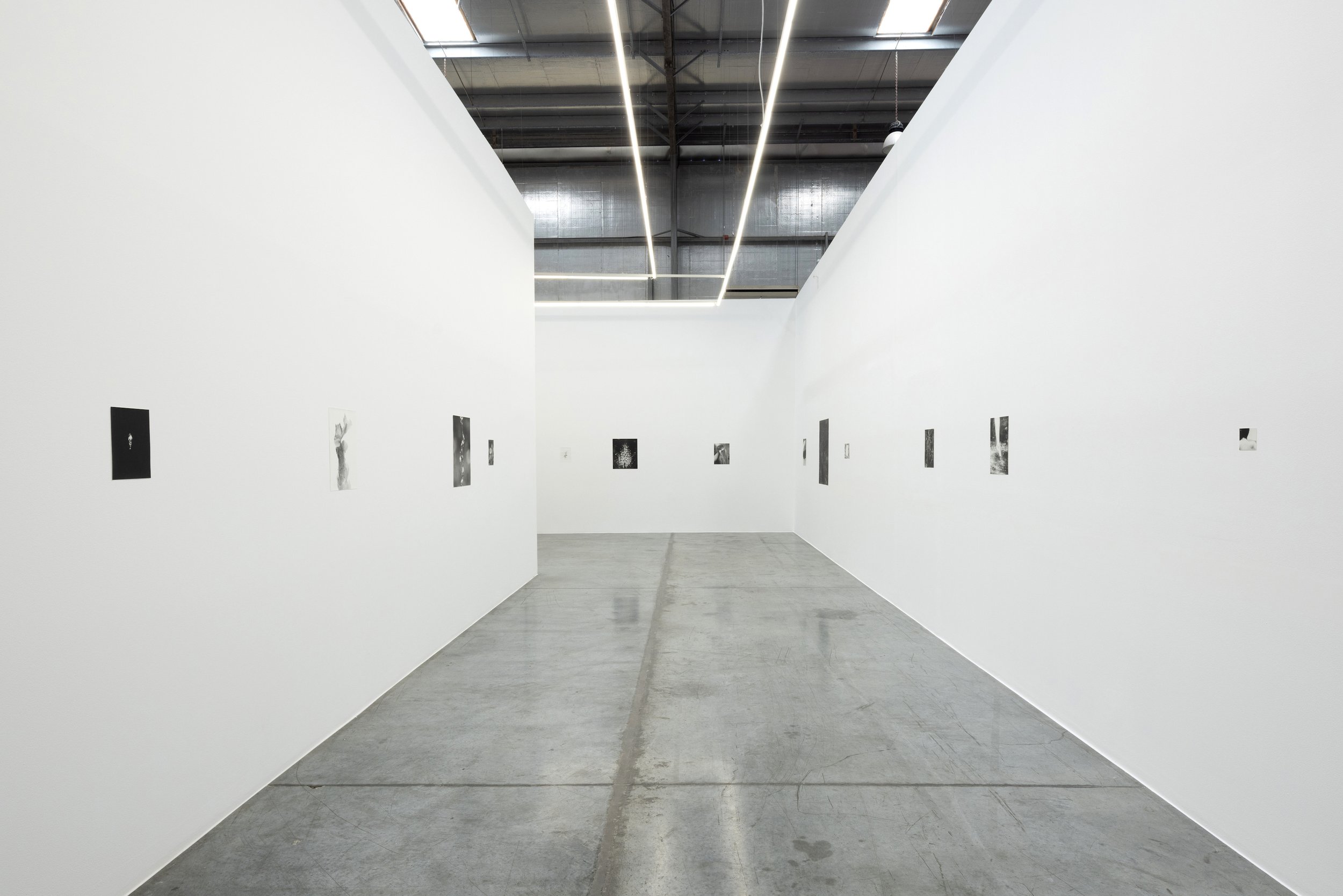  Installation view / Natural Sources 