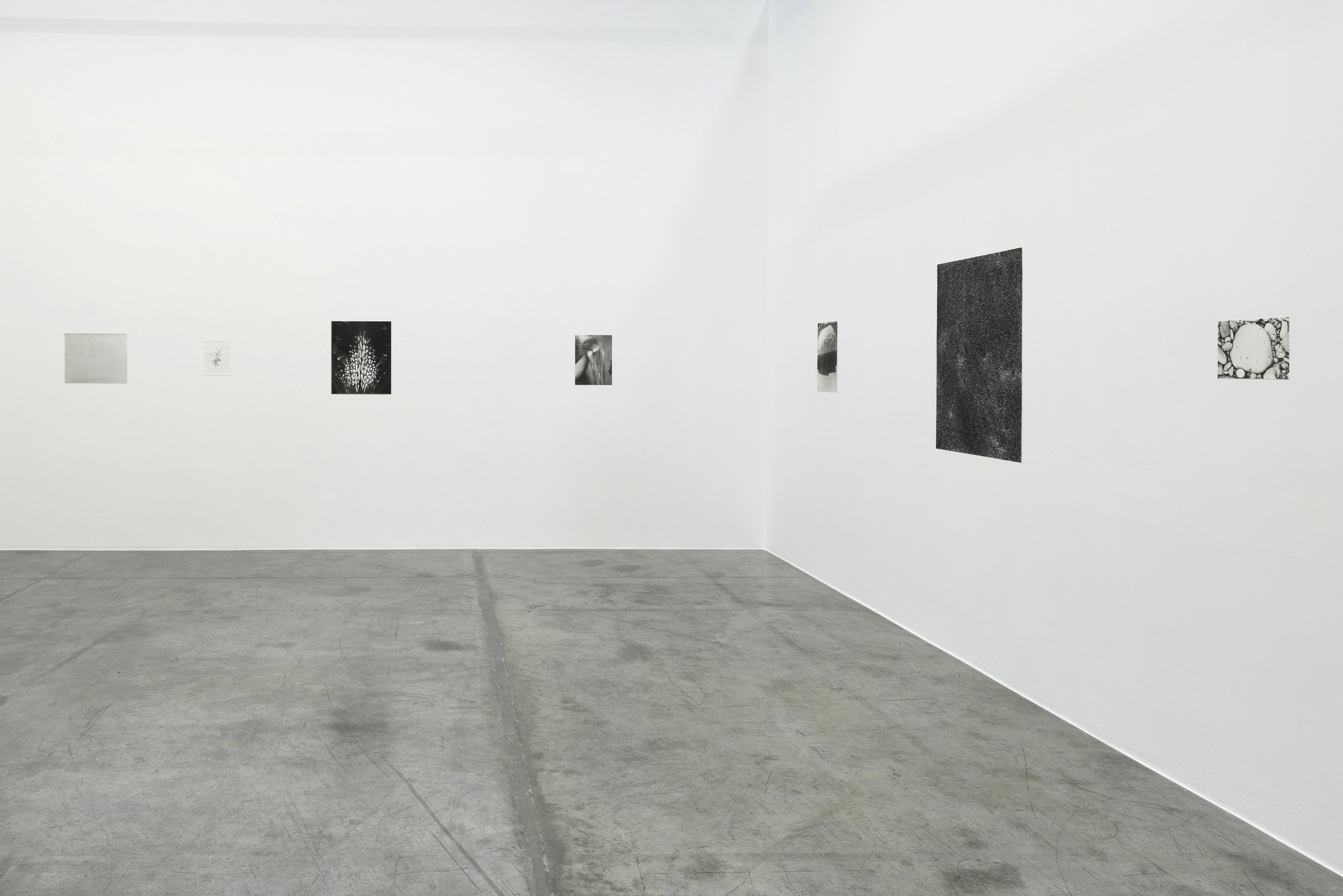  Installation view / Natural Sources 