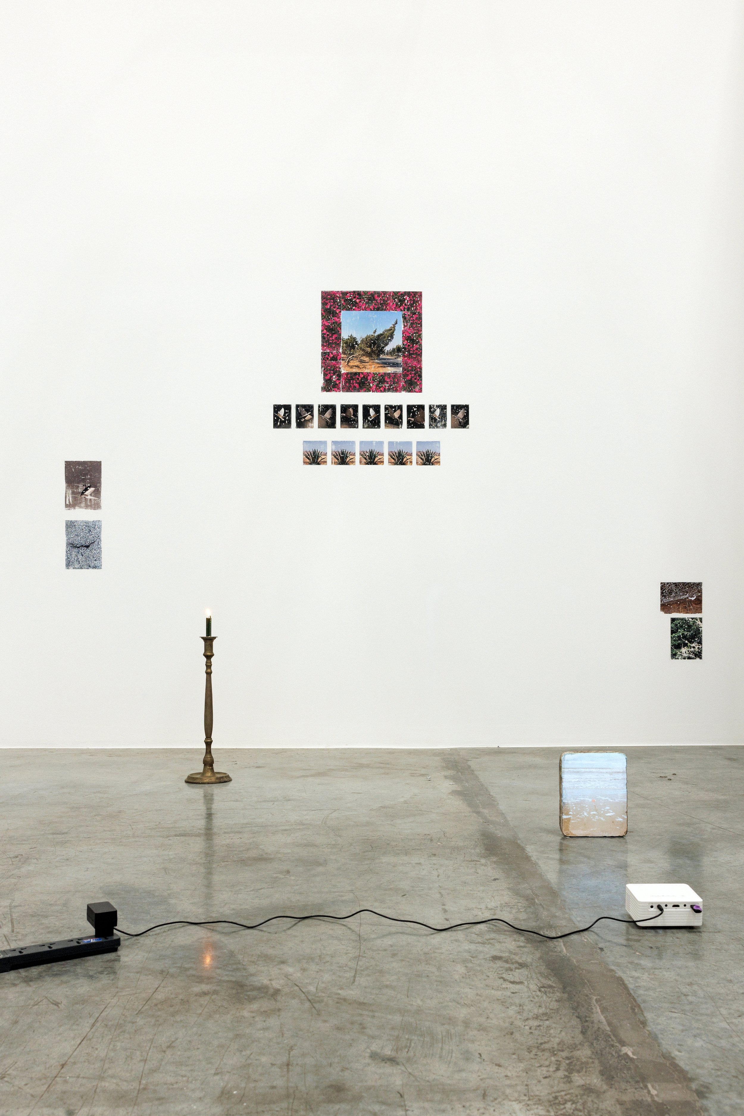  Installation view / Lament of a tree 