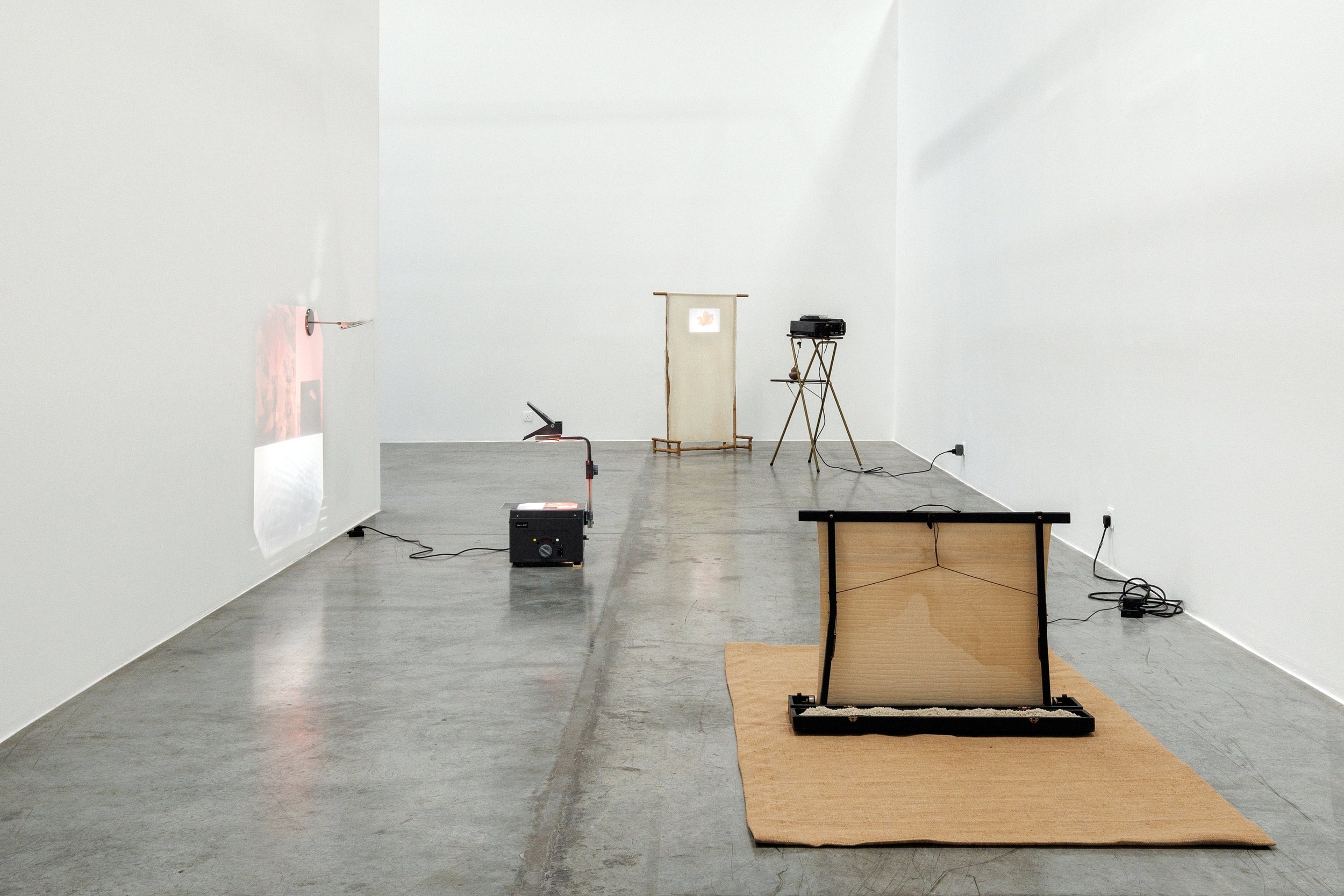  Installation view / Lament of a tree 