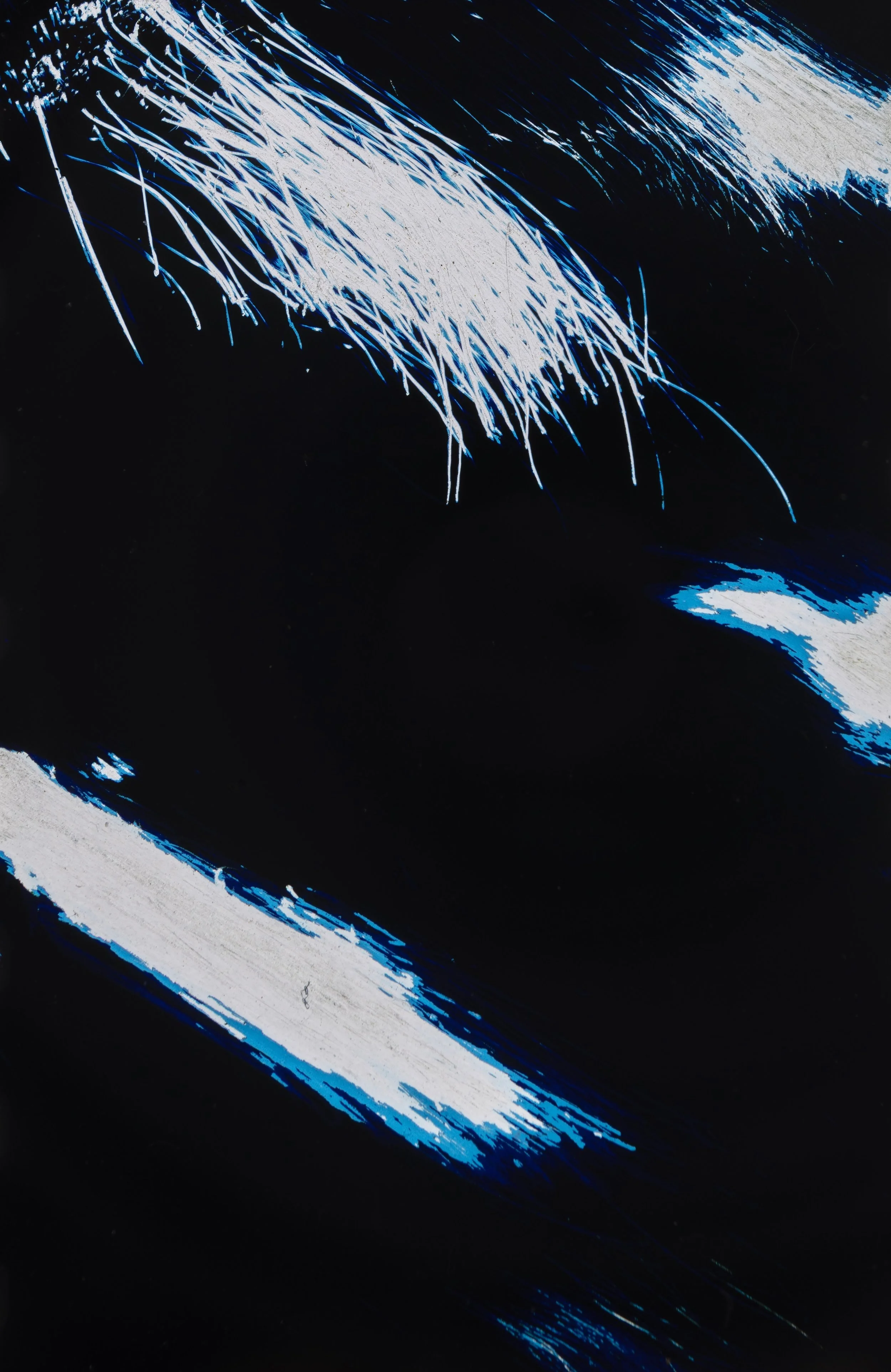 A series of acts upon a skin (detail)