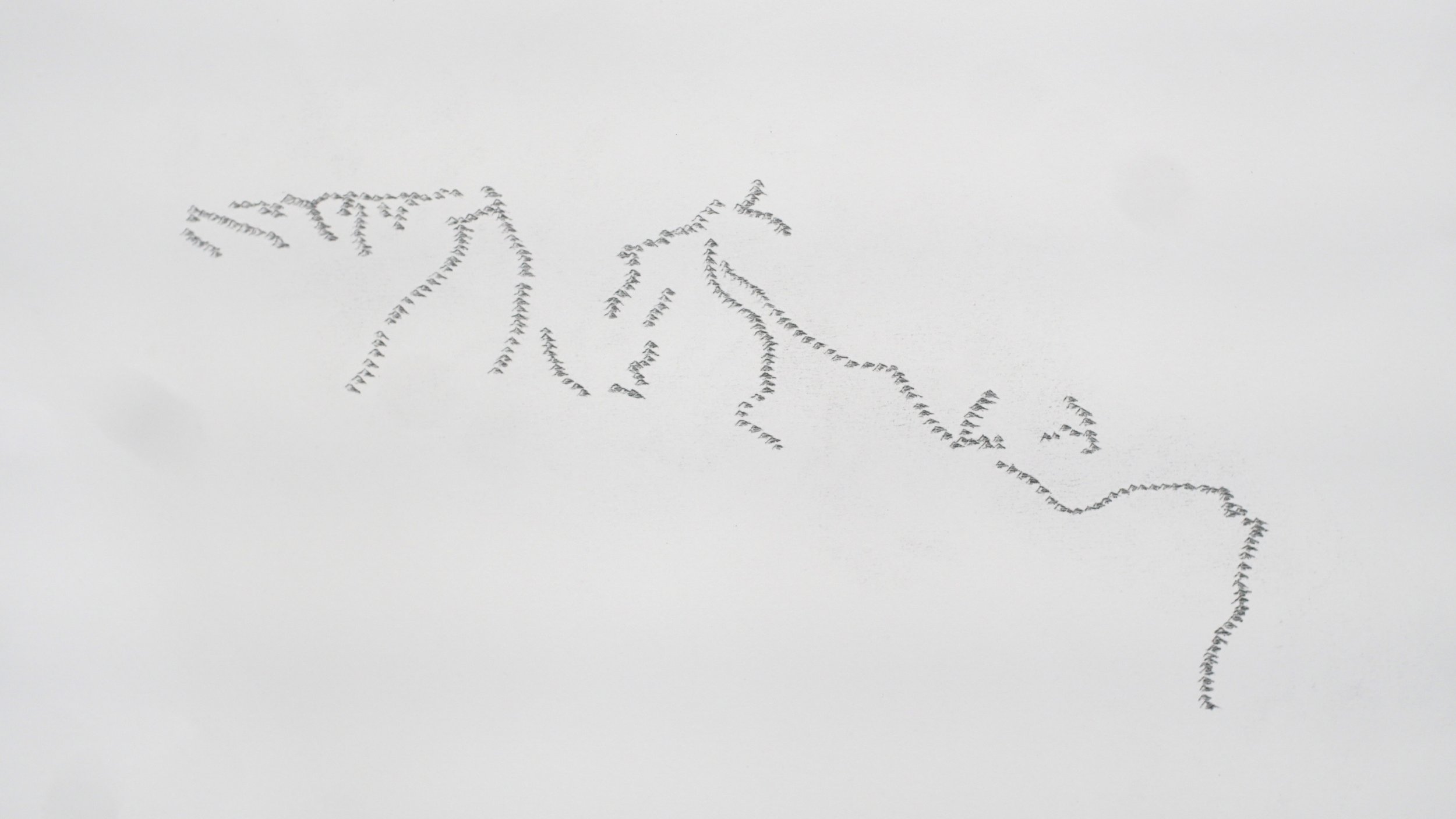  Tracing Trails (detail) 