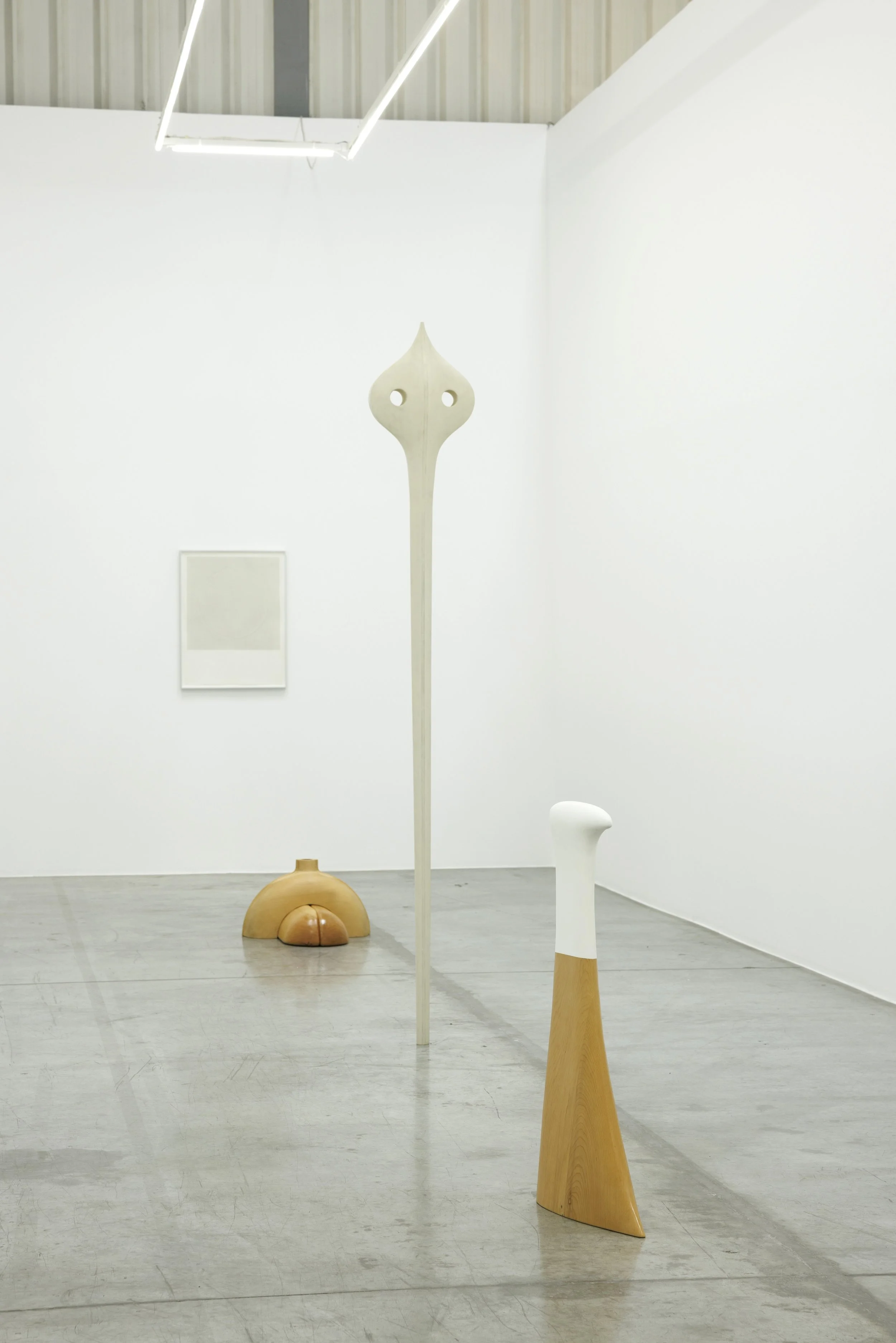  Installation view / The importance of staying quiet / 5. Fahd Burki II.b   Image courtesy of the artist and Grey Noise Photo by: Daniella Baptista 