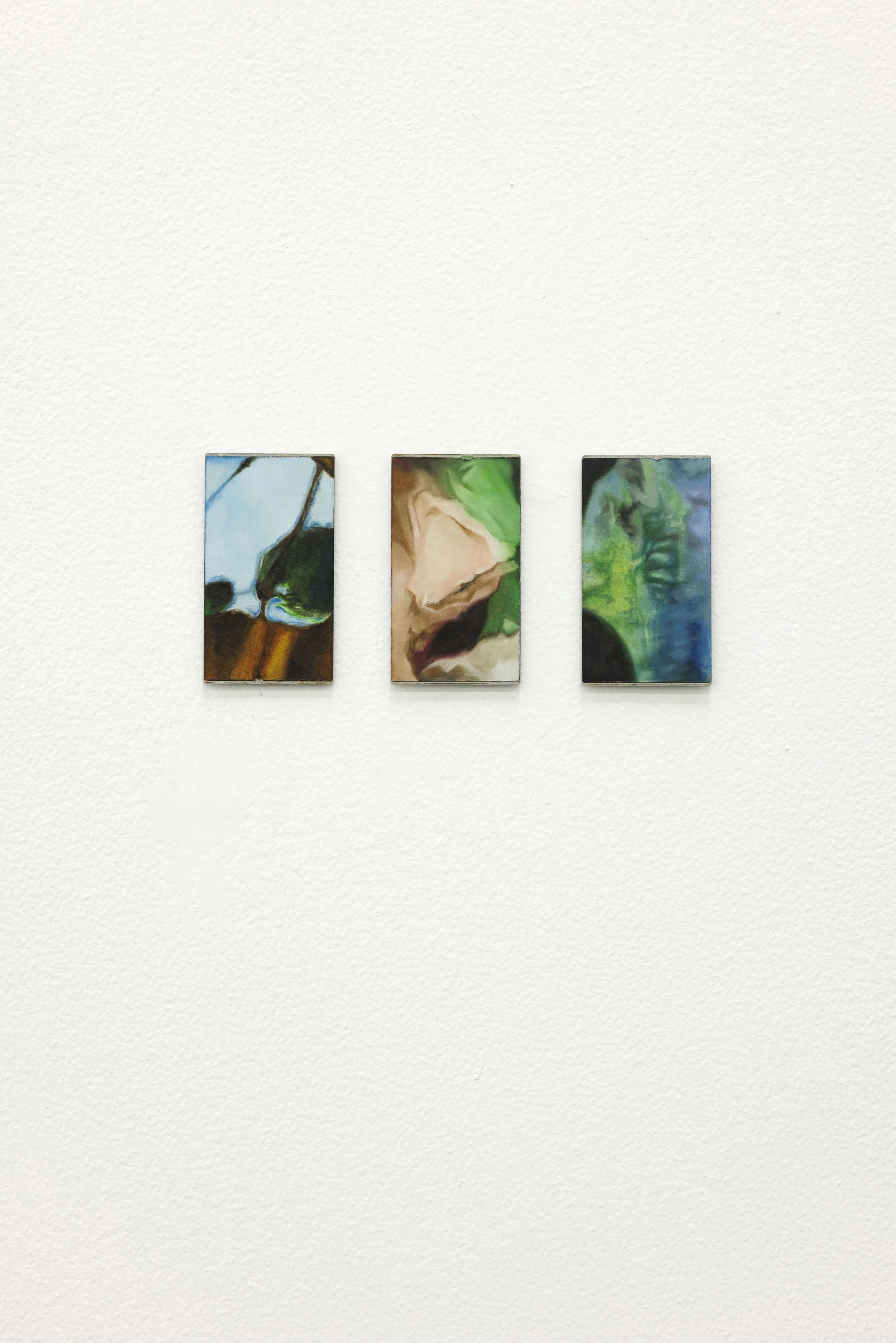  Zara Mahmood, Vignettes 4, 3, 5 (set of 6), 2025, oil on steel plates, 11.5 cm x 6.5 cm each  Image courtesy of the artist and Grey Noise Photo by: Daniella Baptista 