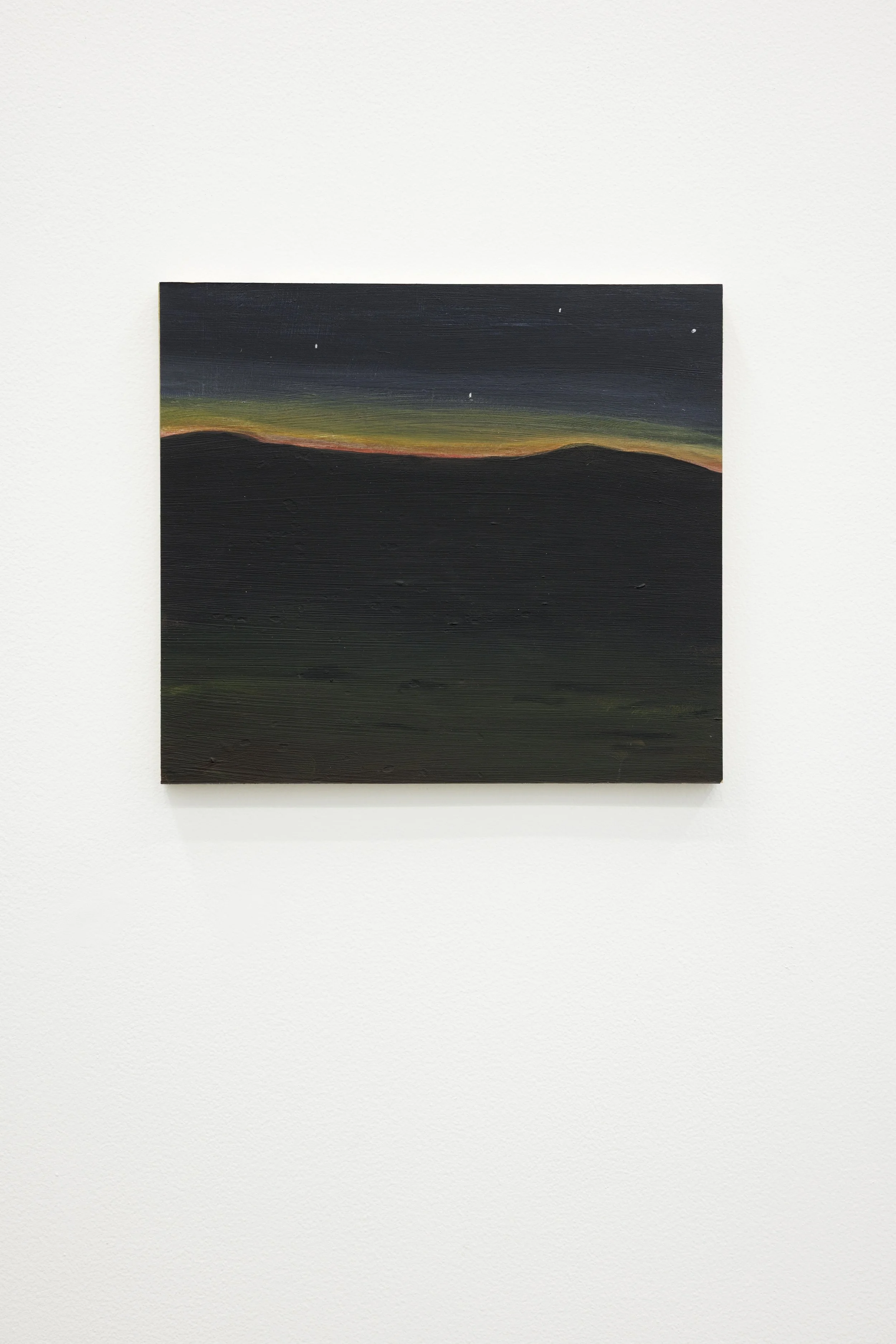  Faraz Aamer Khan, Winter’s End, 2024, acrylics on board, 43.18 x 45.72 cm  Image courtesy of the artist and Grey Noise Photo by: Daniella Baptista 