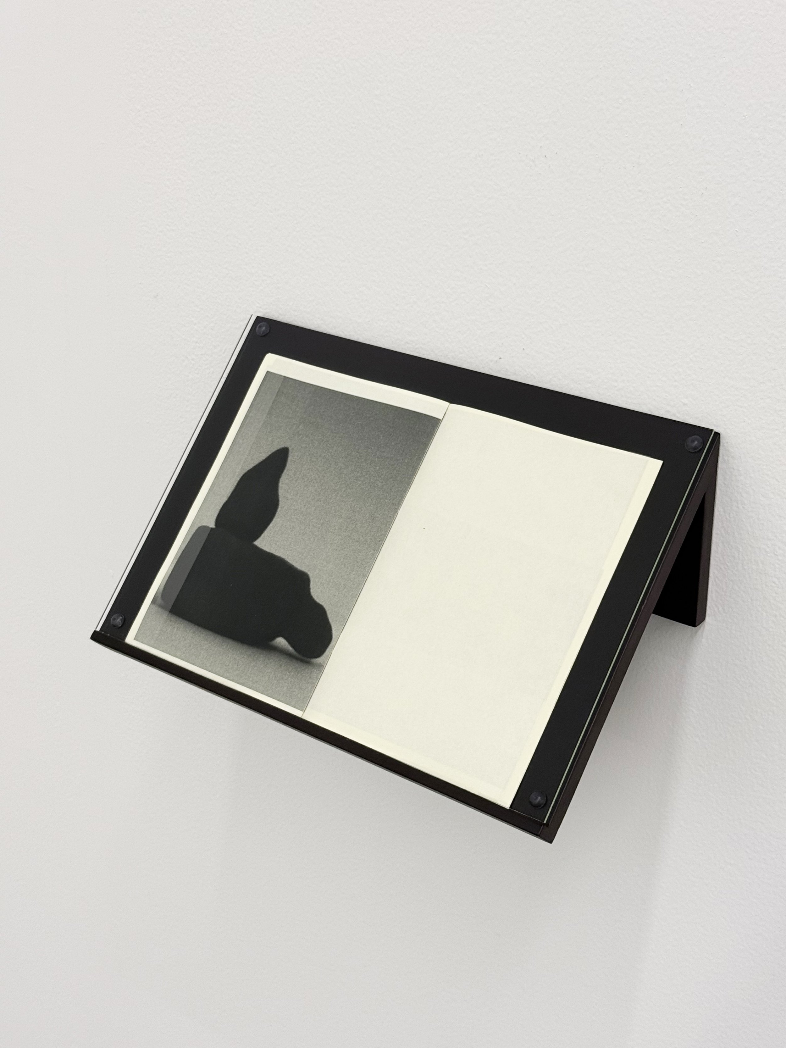  Faheem Abbas, 15 Portraits 2 Balls, 2025, artist book, 21 x 15 cm, edition of 50  Image courtesy of the artist and Grey Noise 