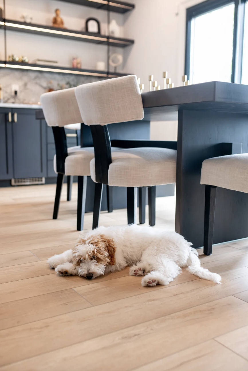 Screenshot 2026-03-04 at 1.55.00 AM.png