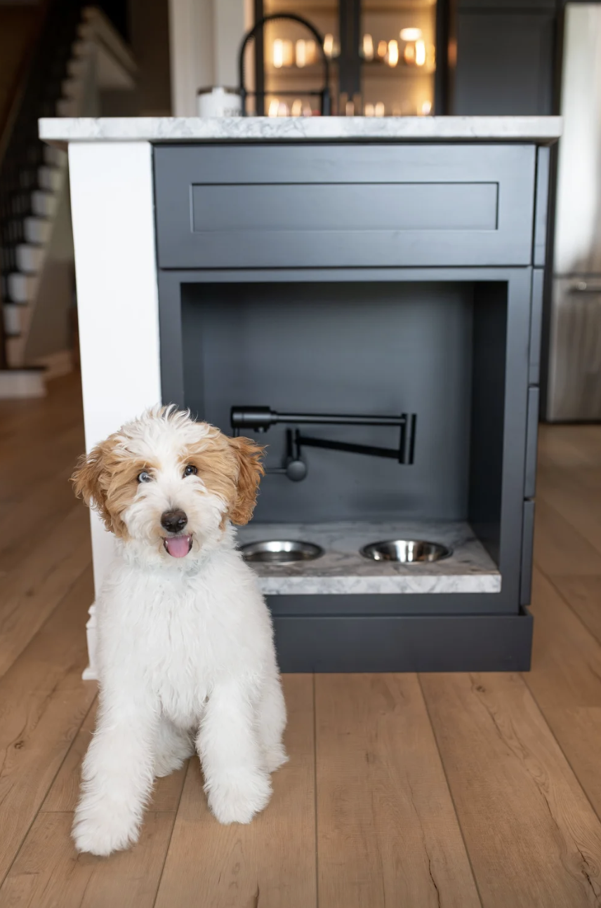 Screenshot 2026-03-04 at 1.50.45 AM.png