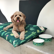 Cactus_Garden_Designer_Dog_Bowls_dfb485ce-9ed1-451f-963b-e4684dd598a7_180x.png