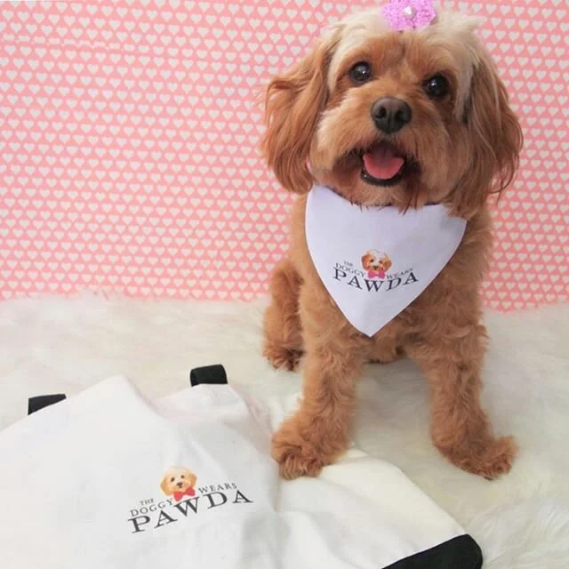 When I count my blessings, I include @willow.wonder.dog and her beautiful mum. Willow is one of our special ambassadors, and here she is modelling our new accessories, our signature bandana and tote bag. The perfect combo for any stylish dog mum or d