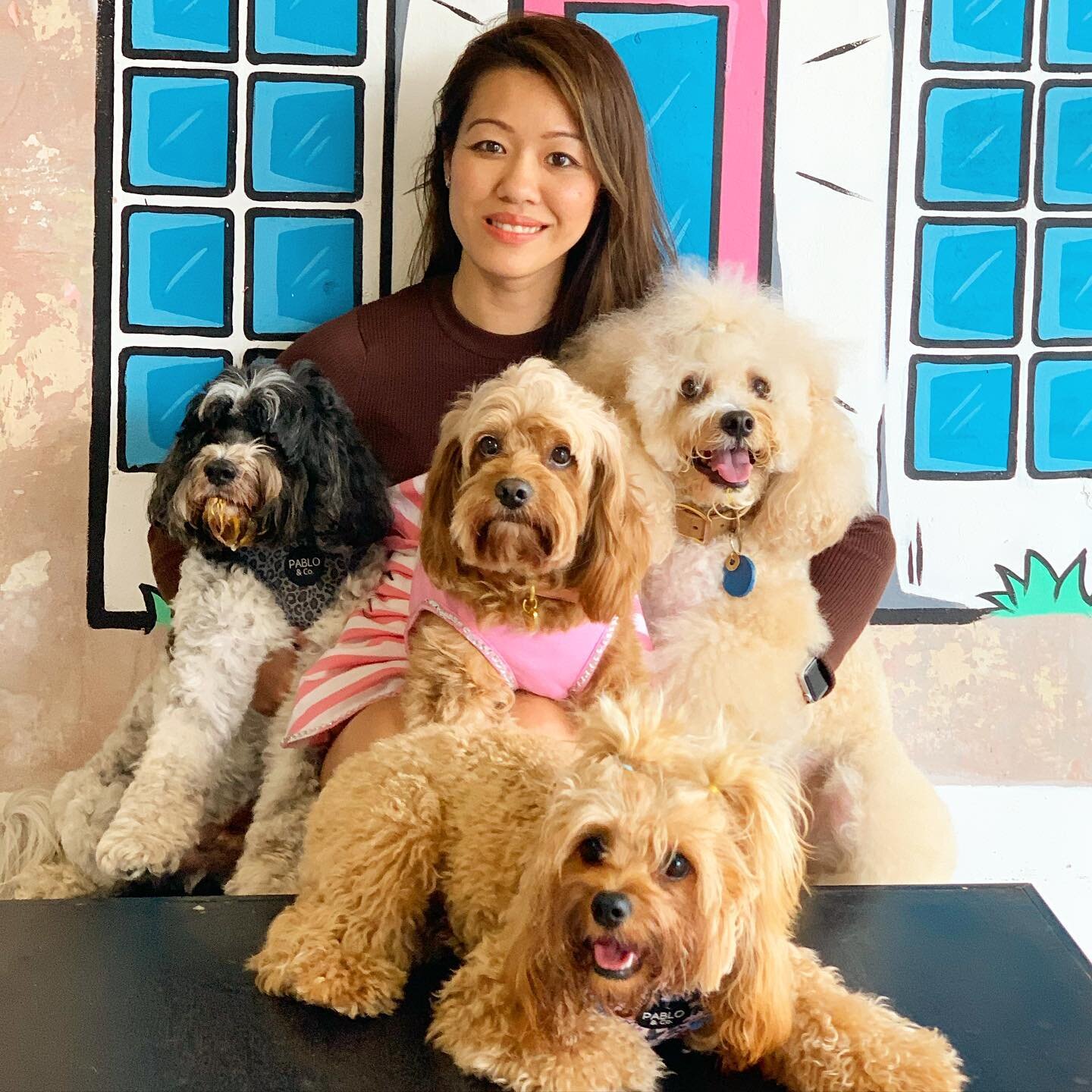 Loved dropping into Sydney&rsquo;s dog barkery @woofgateaux with our good fur friends @willow.wonder.dog and @oscarmax.rubymae. Thank you Jason for treating the pups to puppuccinos, so delicious that they saved you from washing any dishes 😂🤣😂