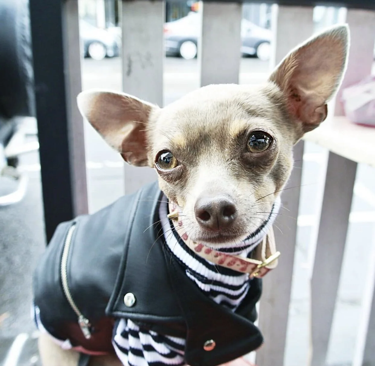 FC5A93D6-B434-4254-89E1-846366706026