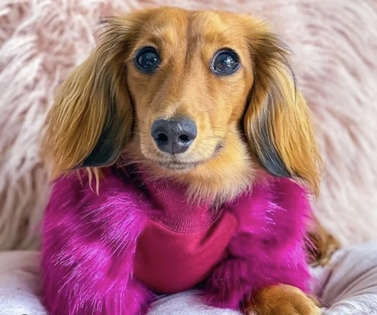 3EF61E3A-CF48-420B-BF28-035B91285B34