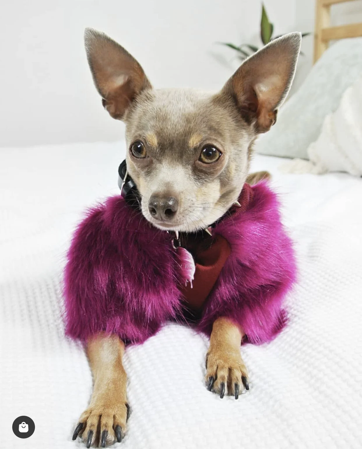 A5D18631-9086-4D41-BE9E-4EAA7145D461