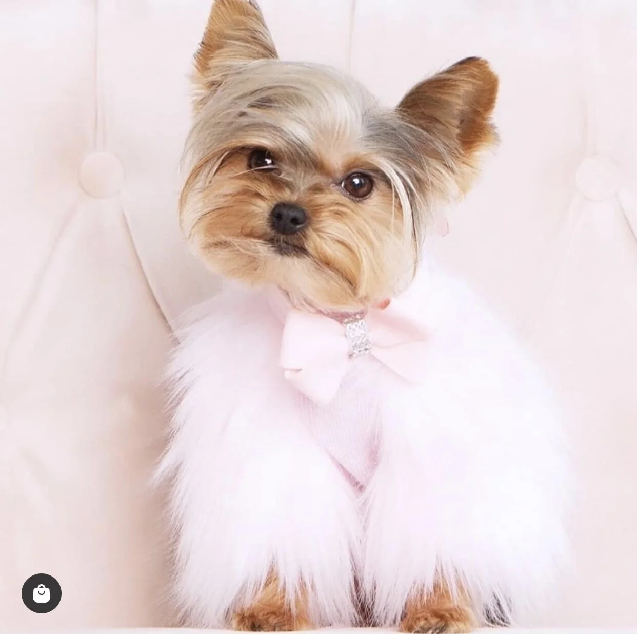 71100379-69BC-4A44-BA14-CFD67151EDD8