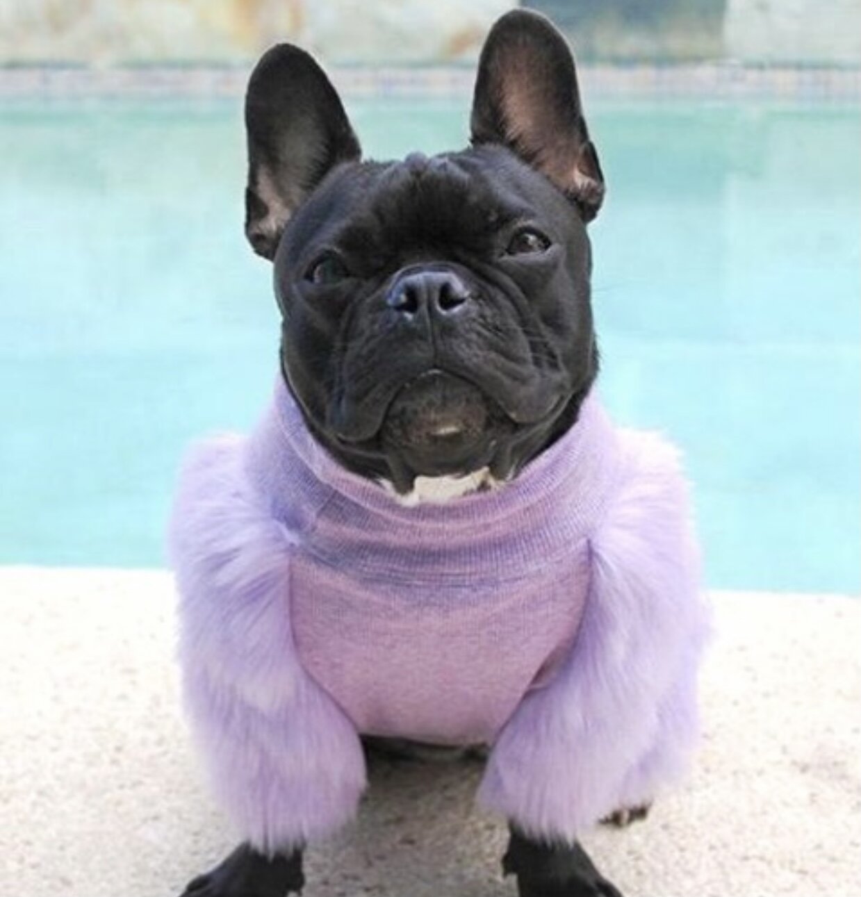 0982E8AB-6E70-41A5-9617-842B72623343