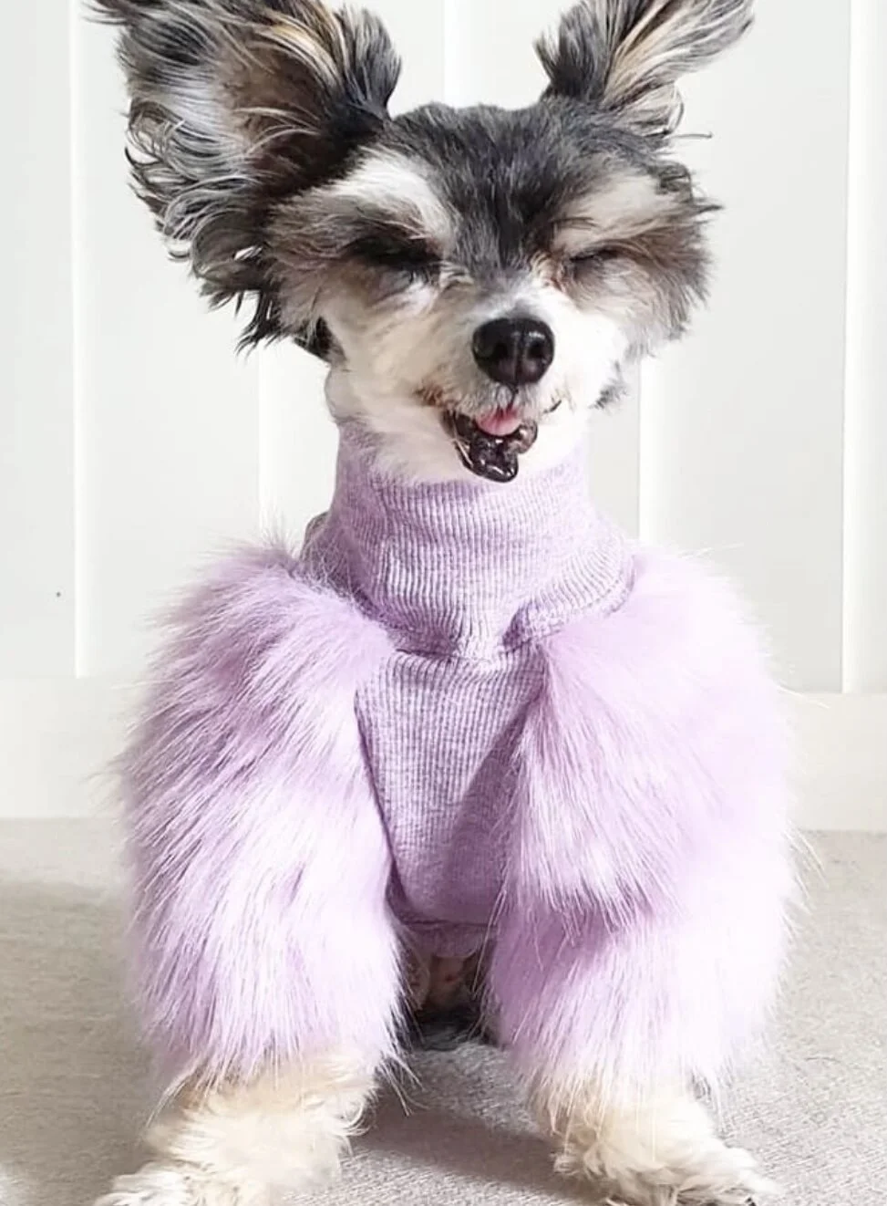 24F00652-8E3D-4E1C-8785-B26023ABDAD3