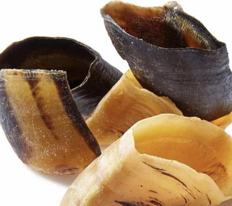 FE925CF4-F9F4-4F92-9097-F228F14C0216