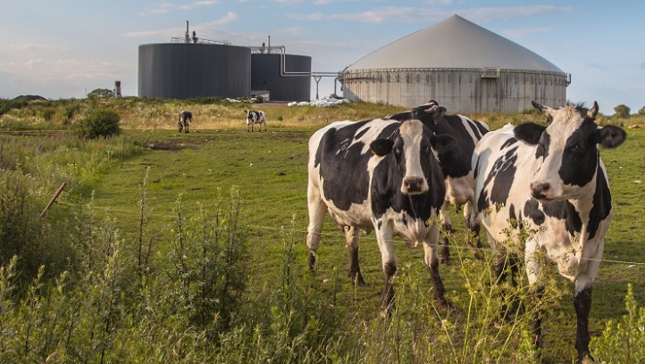 What is Anaerobic Digestion? 